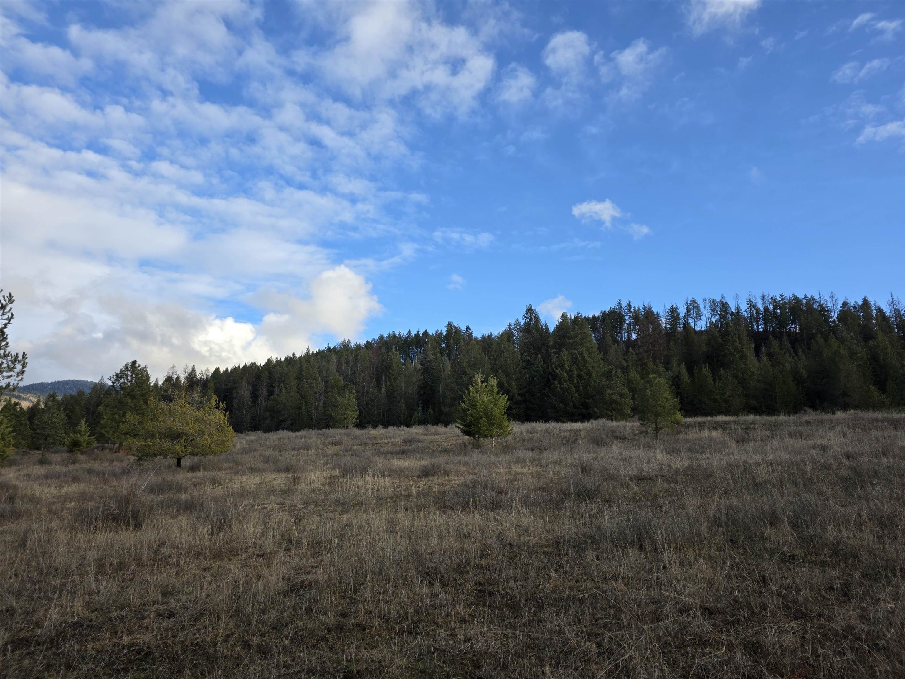 2477 Cedonia-Addy Rd - Photo 46