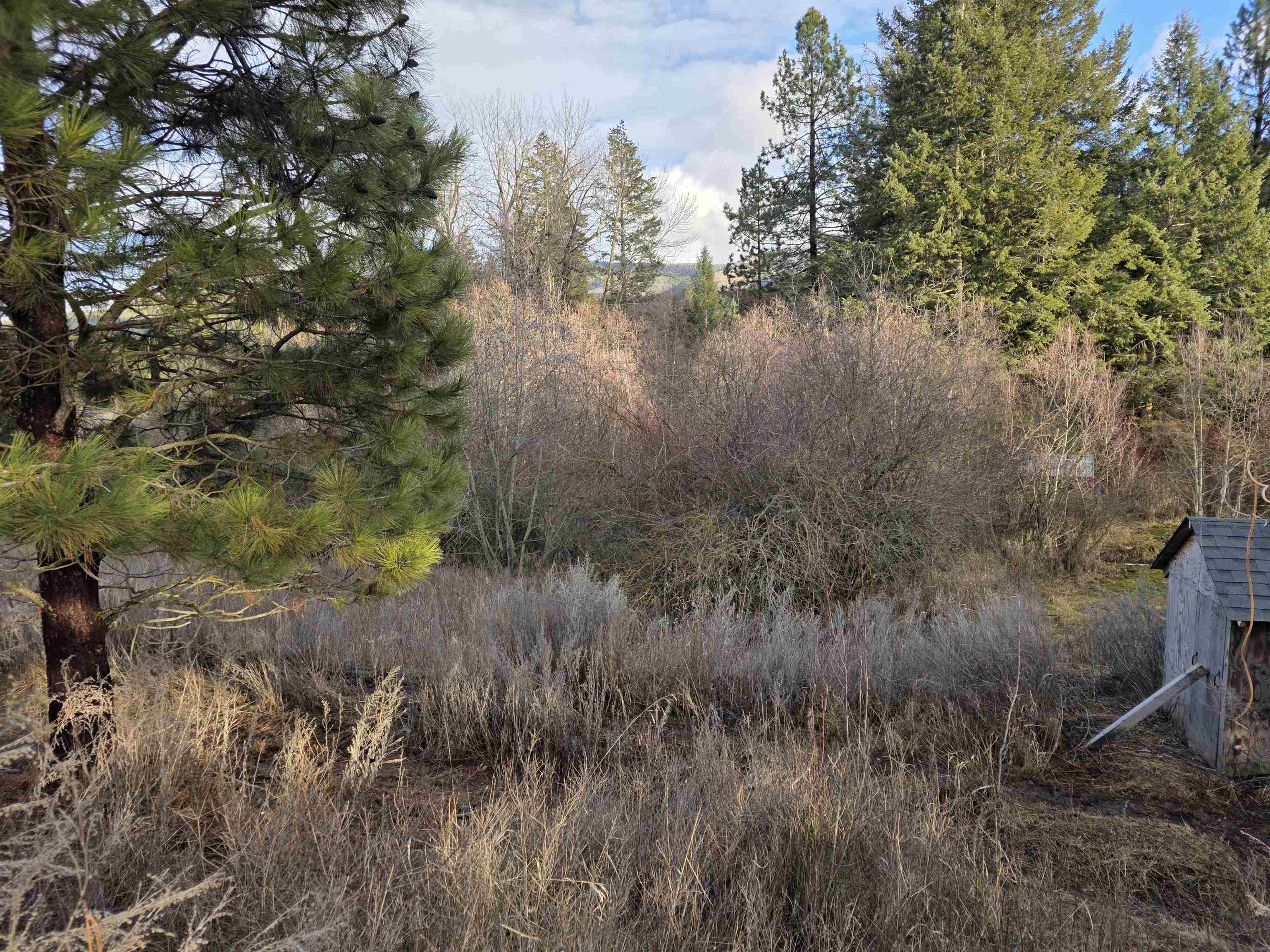 2477 Cedonia-Addy Rd - Photo 47