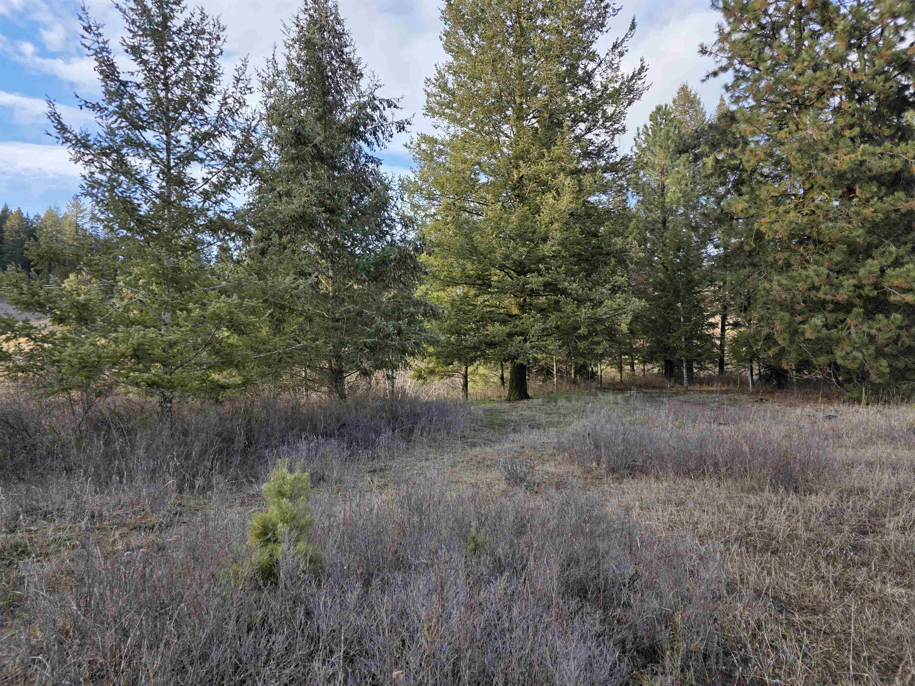 2477 Cedonia-Addy Rd - Photo 50
