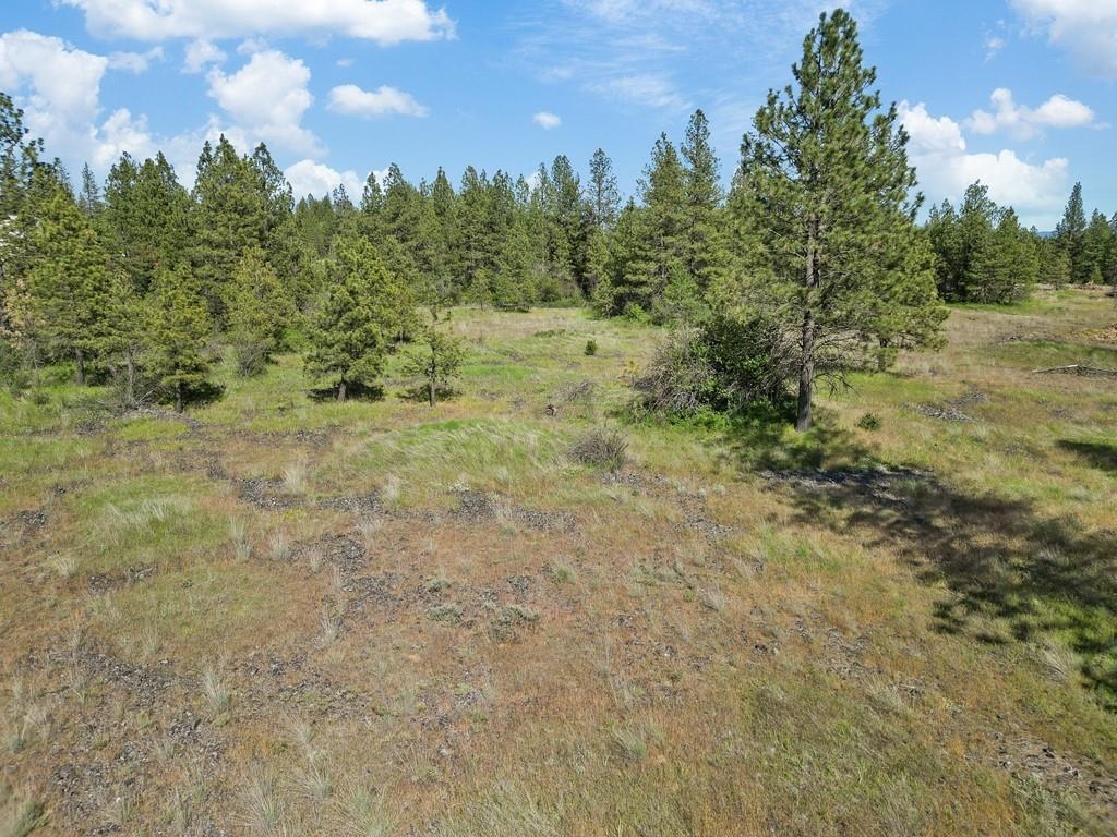 37XX N Dowdy Rd - Photo 4