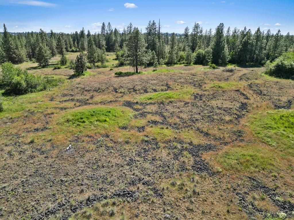 37XX N Dowdy Rd - Photo 6