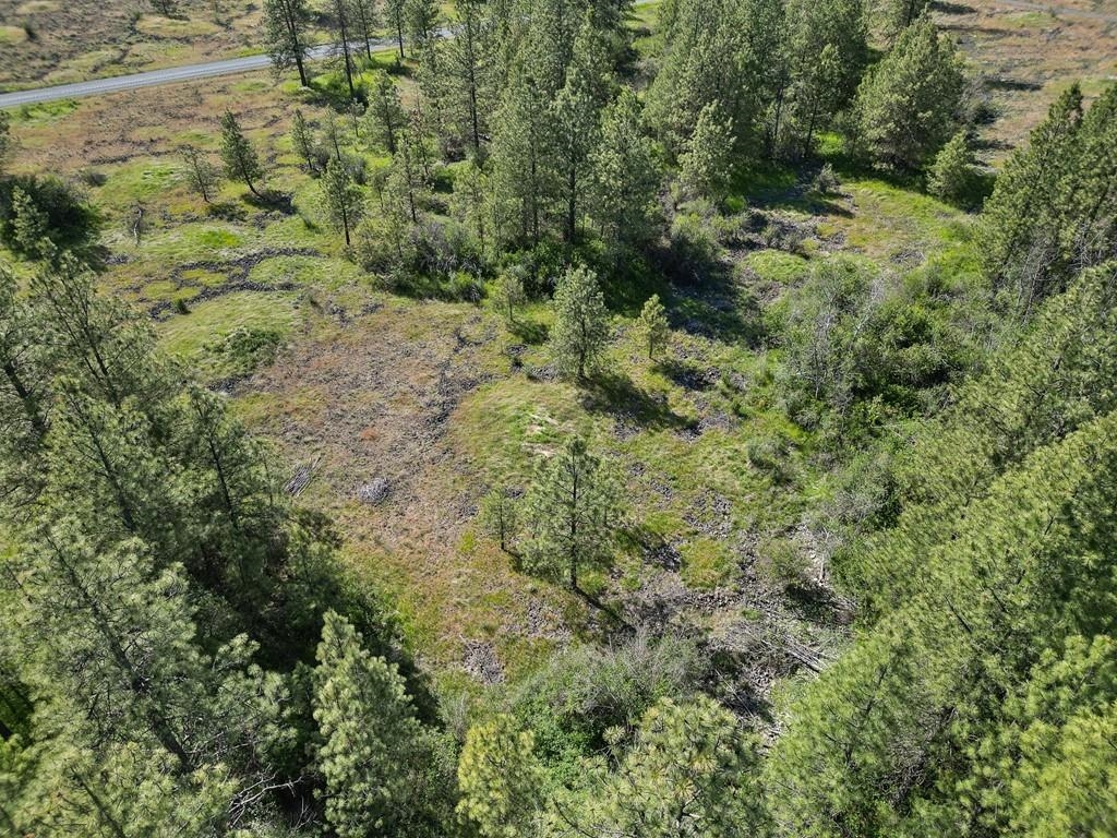 37XX N Dowdy Rd - Photo 8