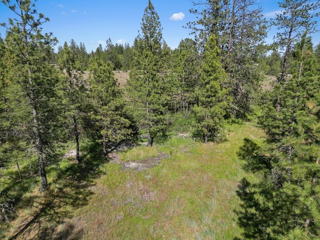 37XX N Dowdy Rd - Photo 9