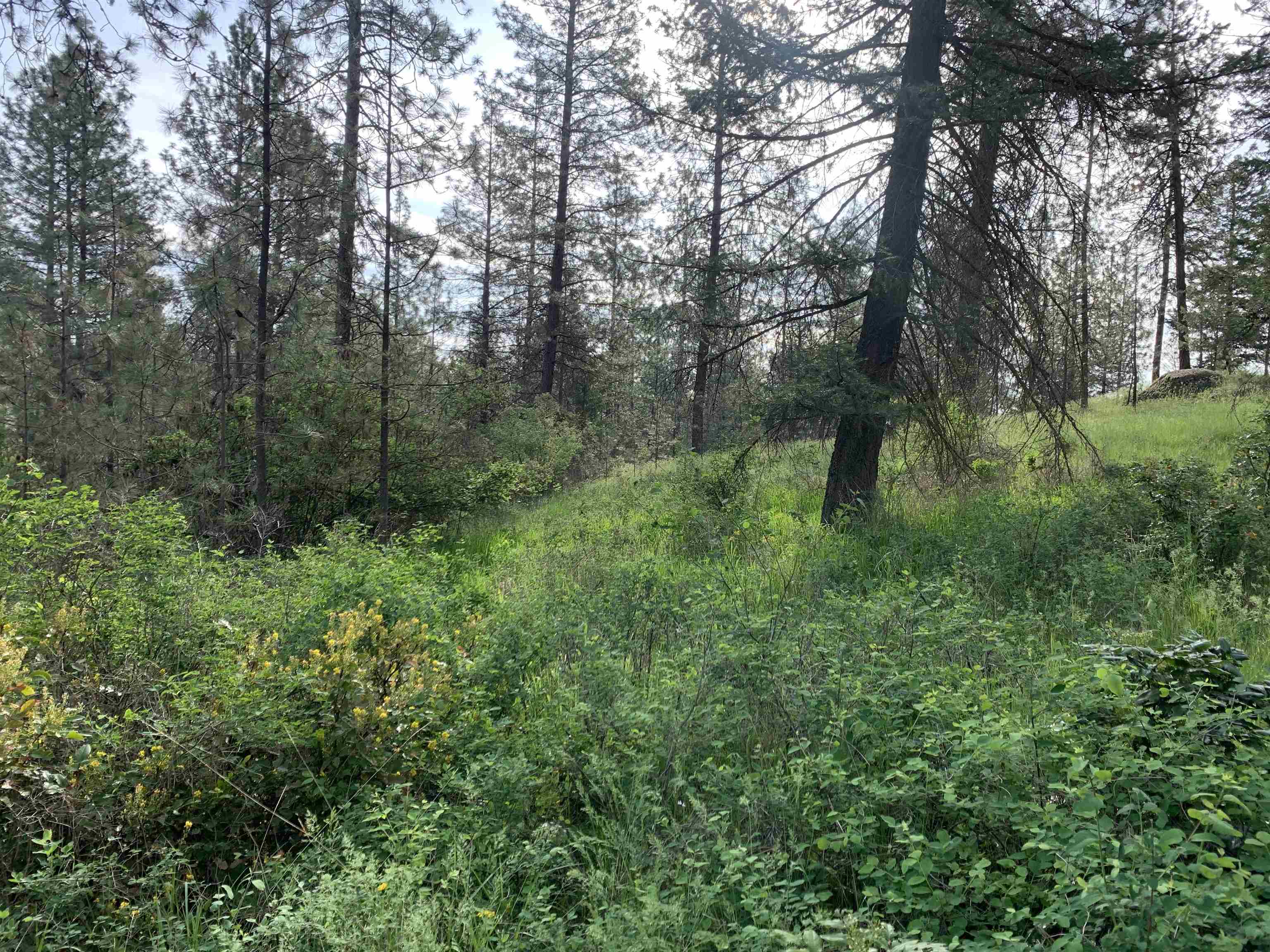 160xx N Austin Rd - Photo 11