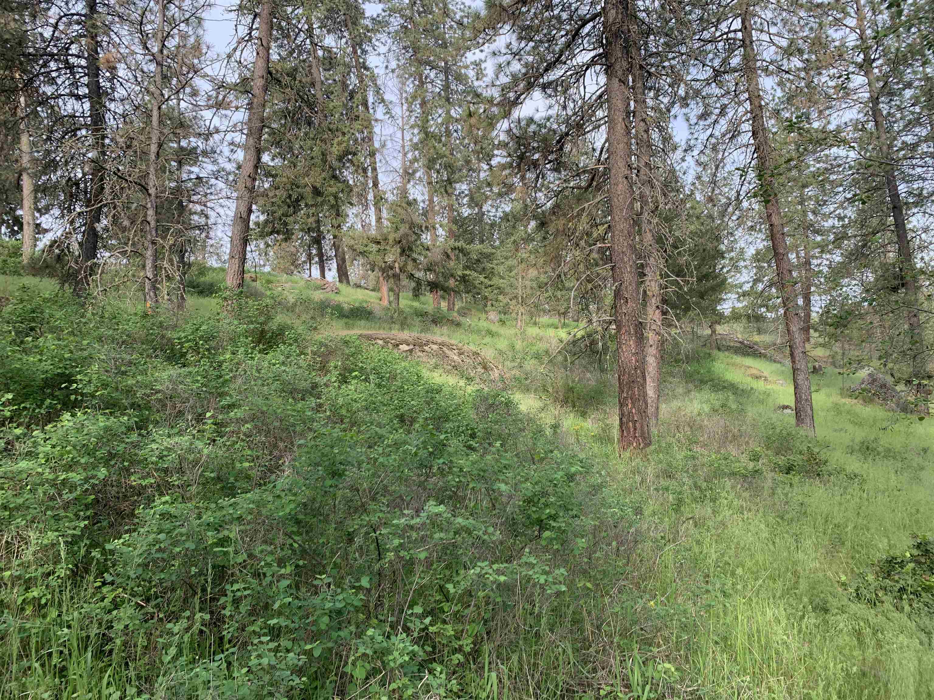 160xx N Austin Rd - Photo 13