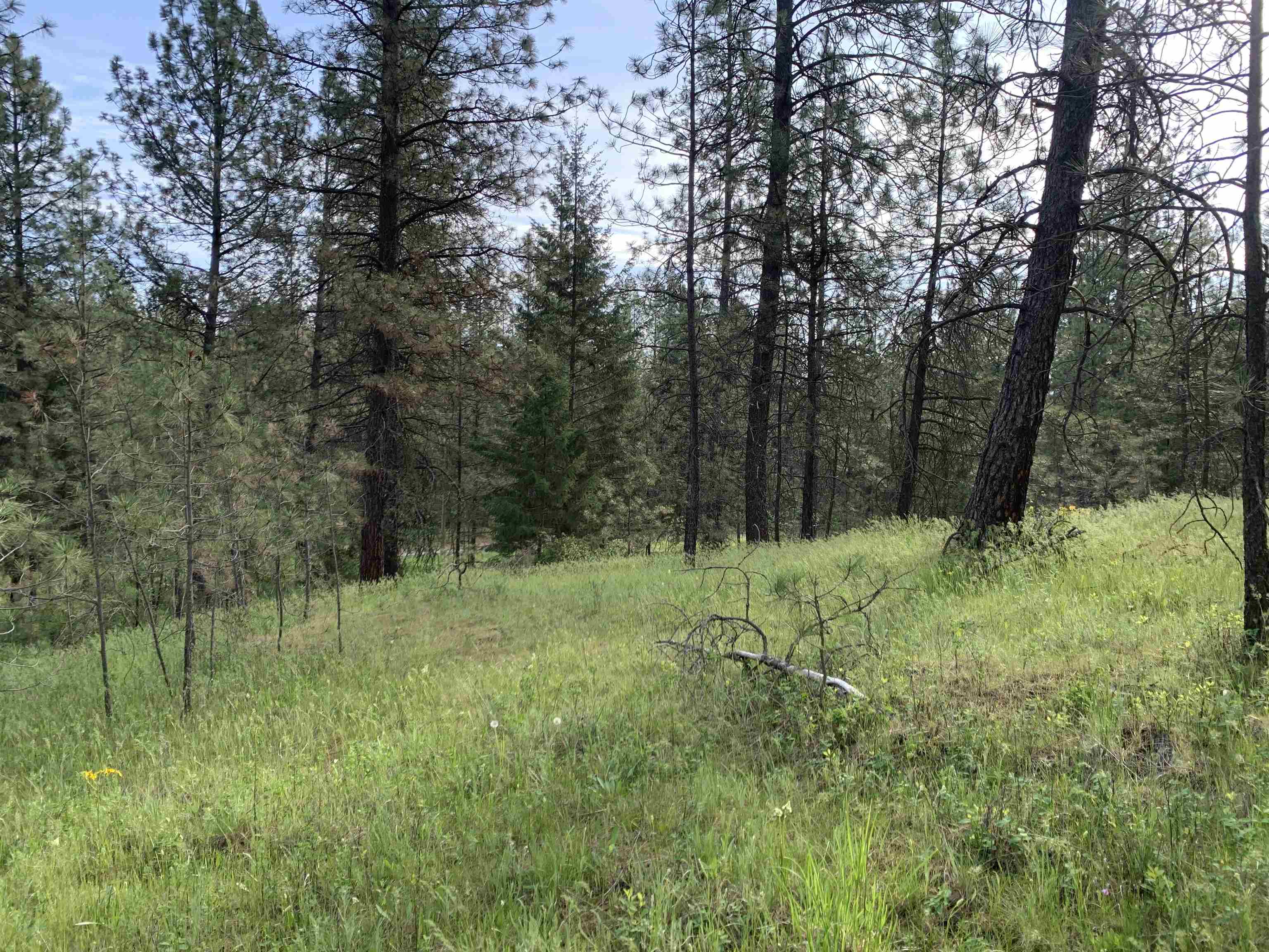 160xx N Austin Rd - Photo 15