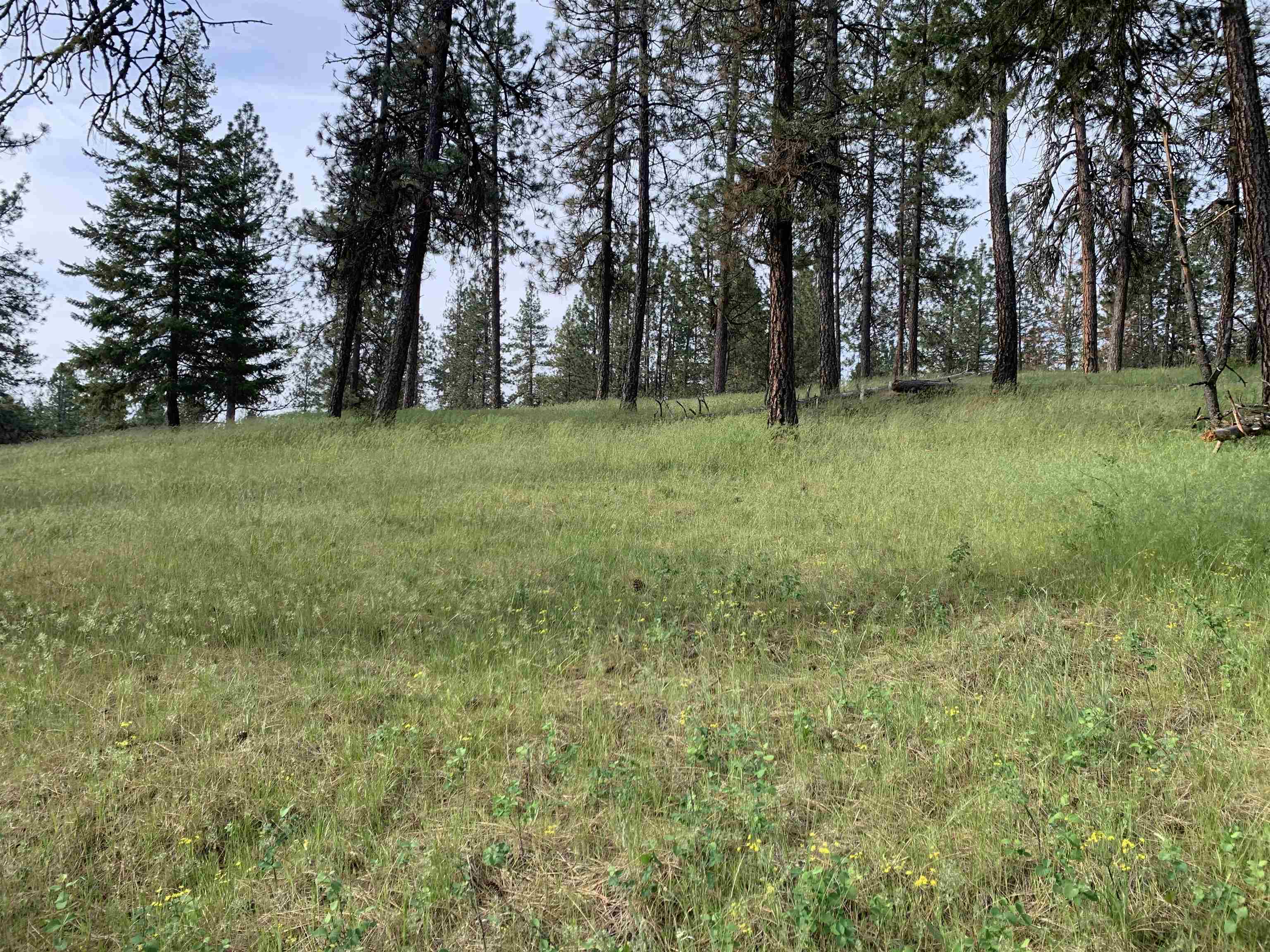 160xx N Austin Rd - Photo 16
