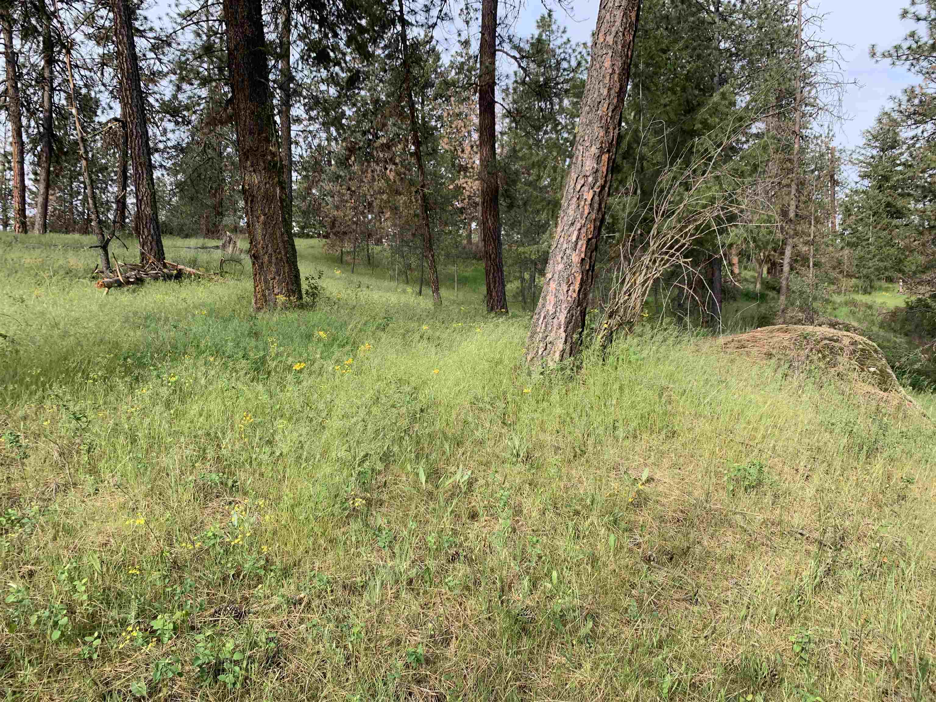 160xx N Austin Rd - Photo 17