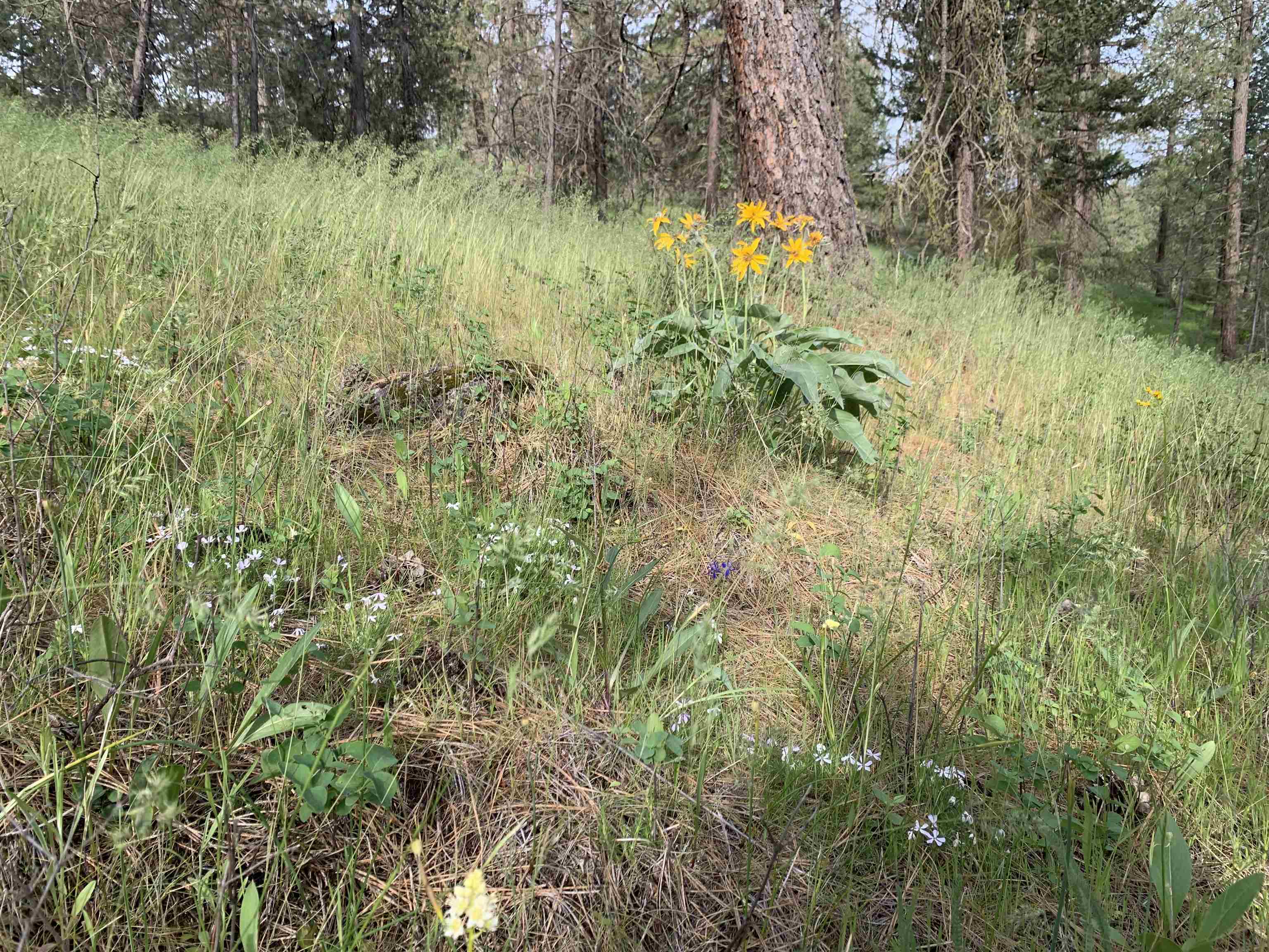 160xx N Austin Rd - Photo 18