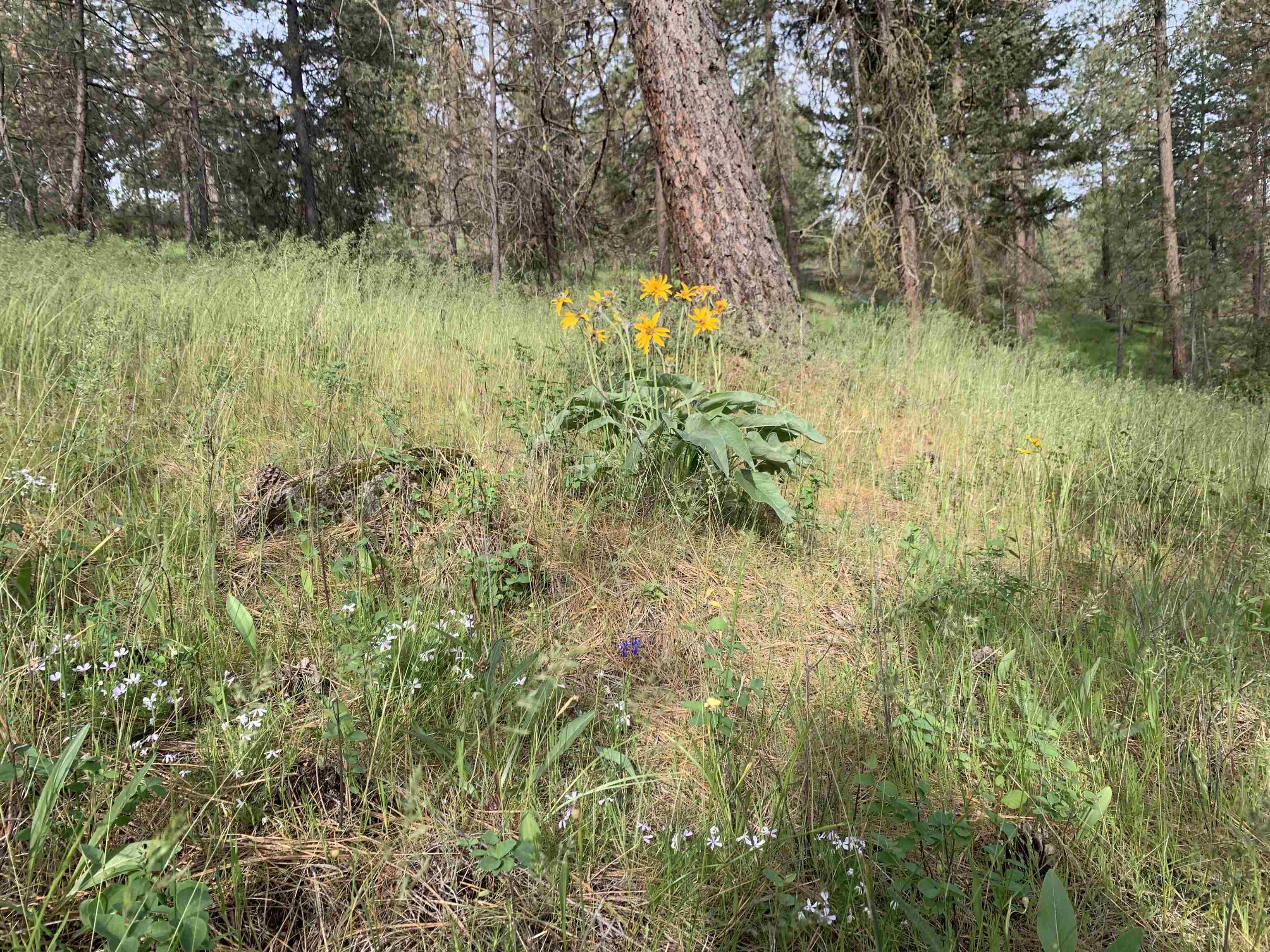160xx N Austin Rd - Photo 19