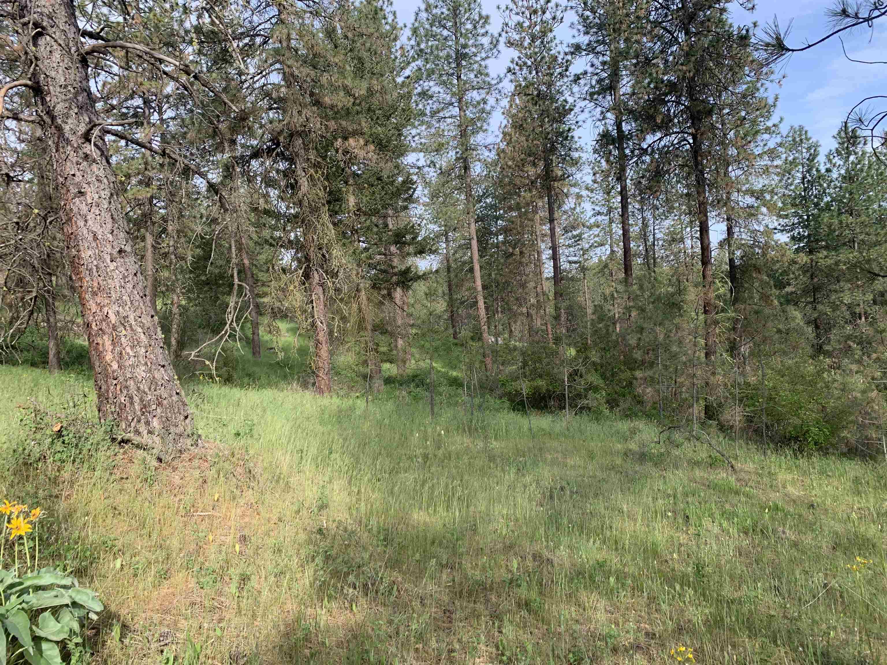 160xx N Austin Rd - Photo 20
