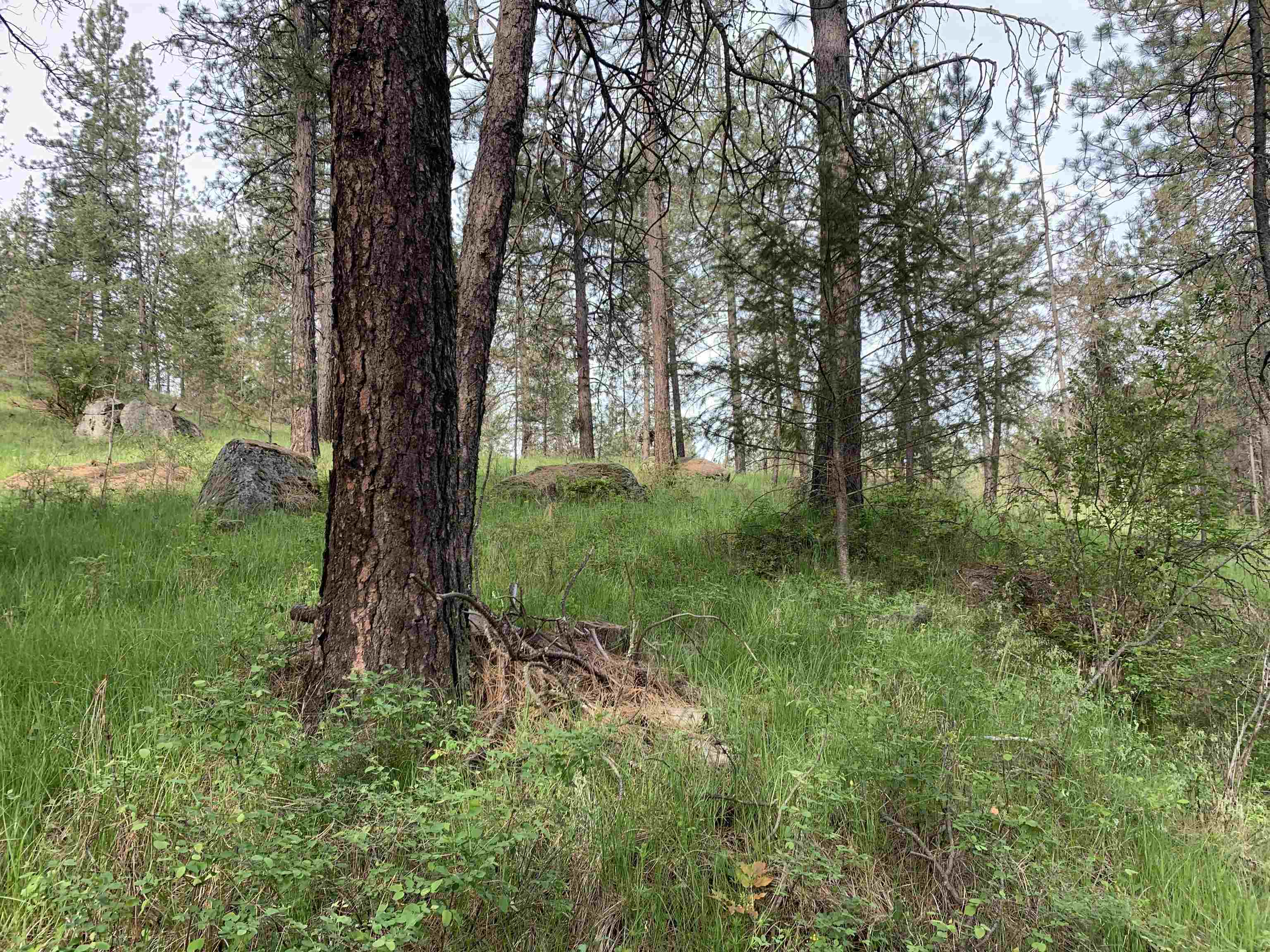 160xx N Austin Rd - Photo 3