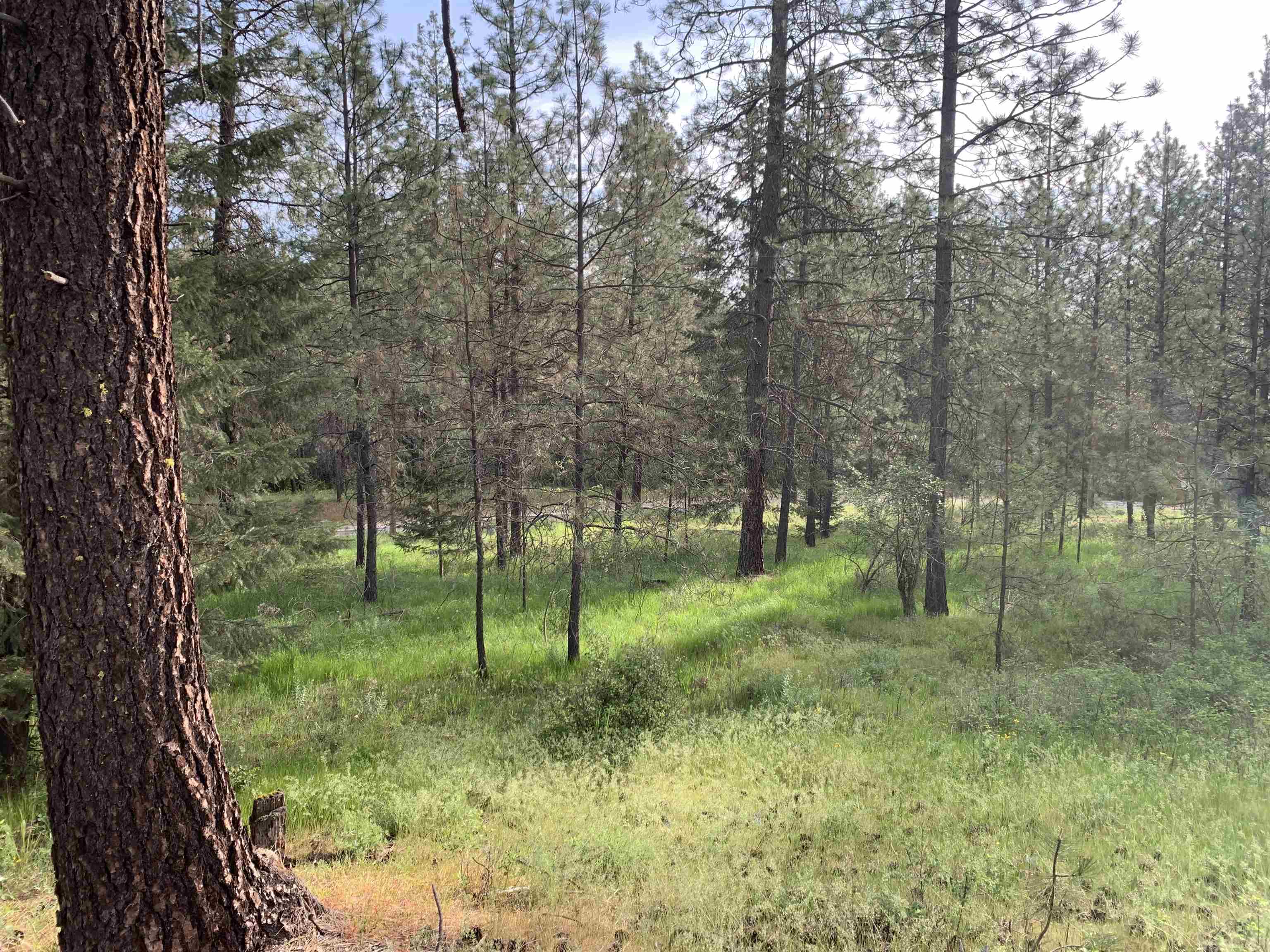 160xx N Austin Rd - Photo 21