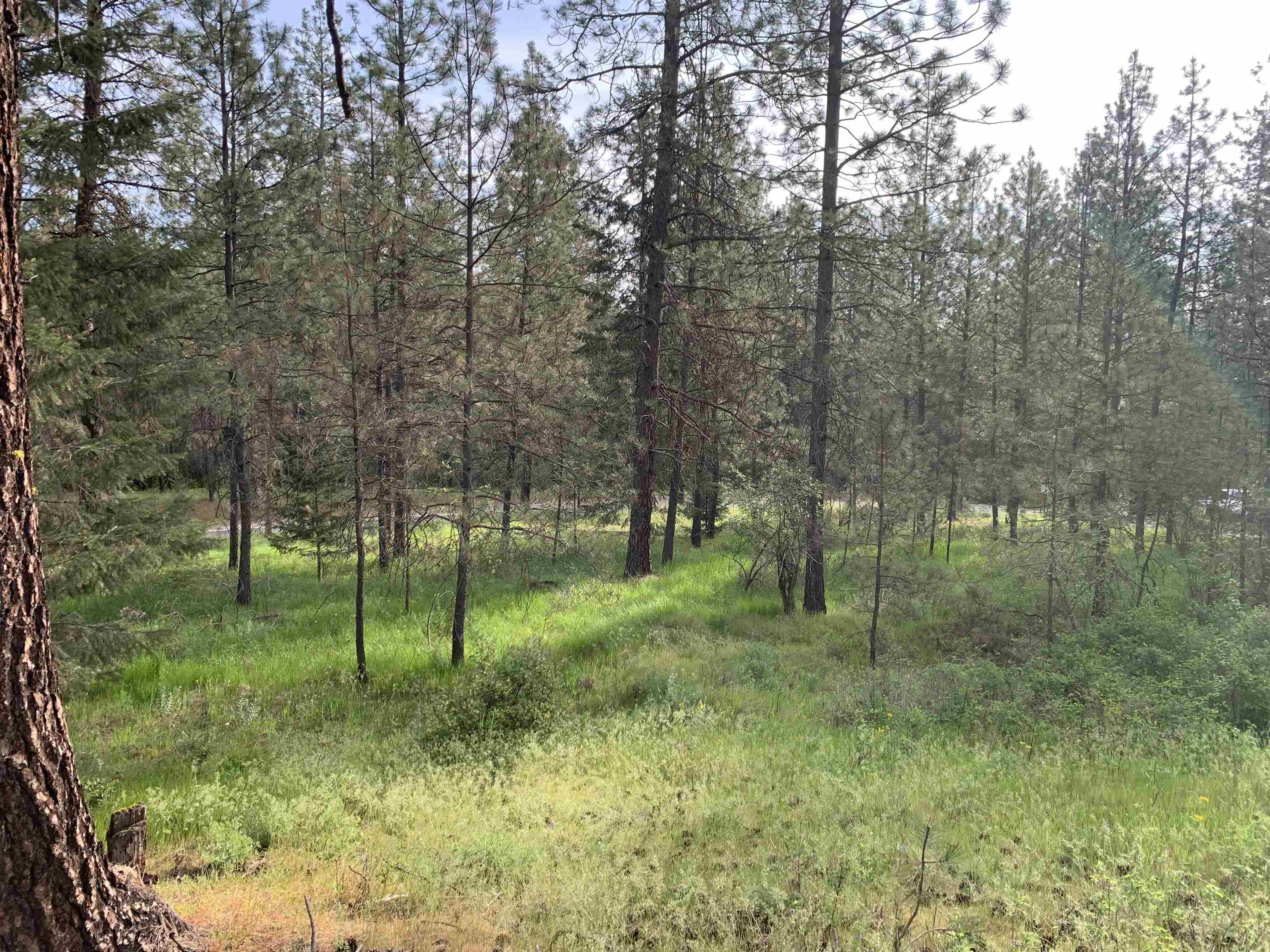 160xx N Austin Rd - Photo 22