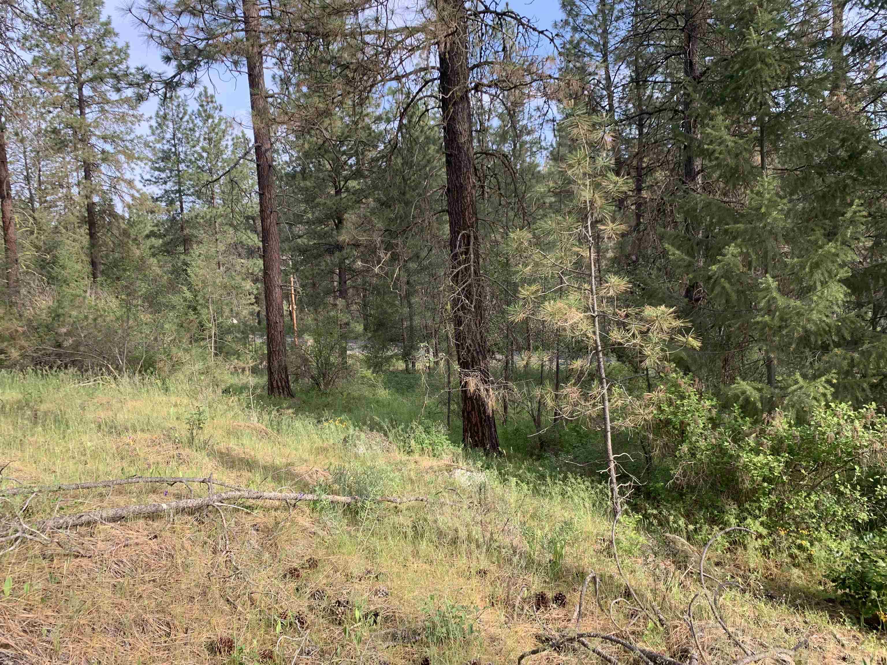 160xx N Austin Rd - Photo 23