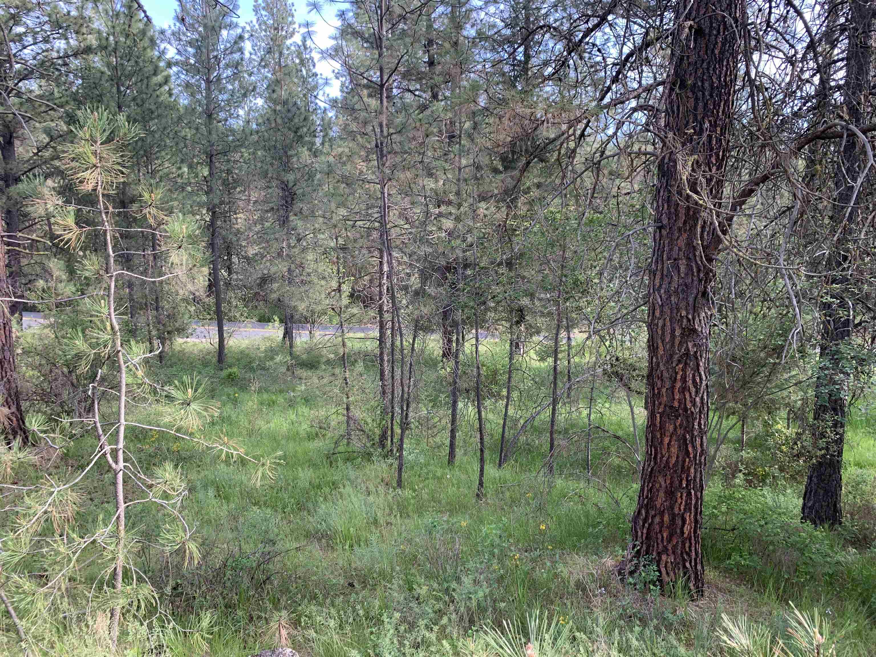 160xx N Austin Rd - Photo 24