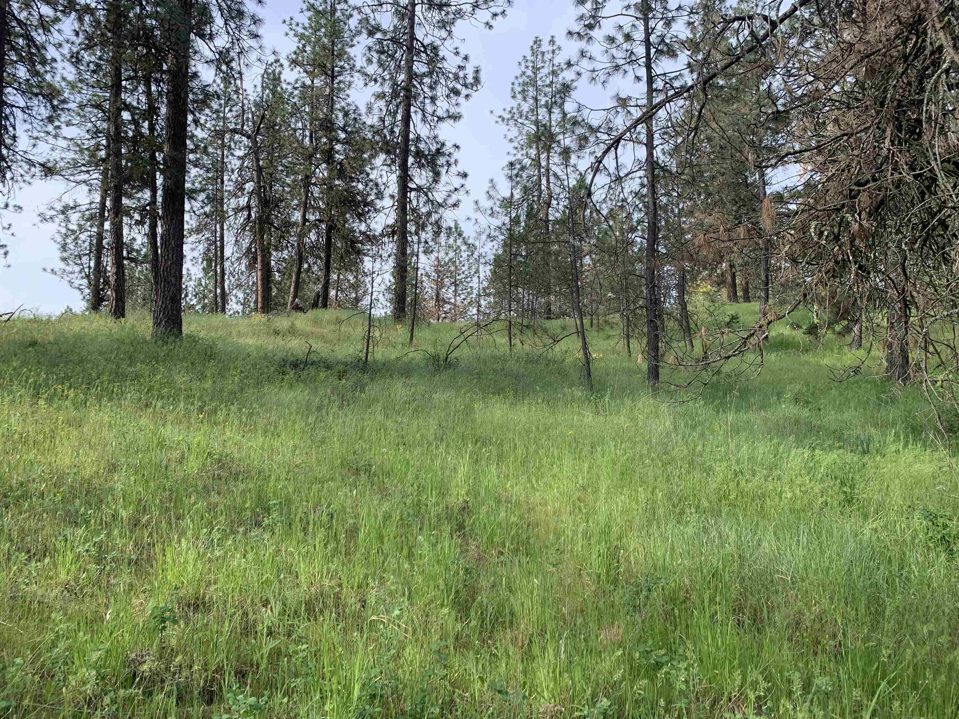 160xx N Austin Rd - Photo 26
