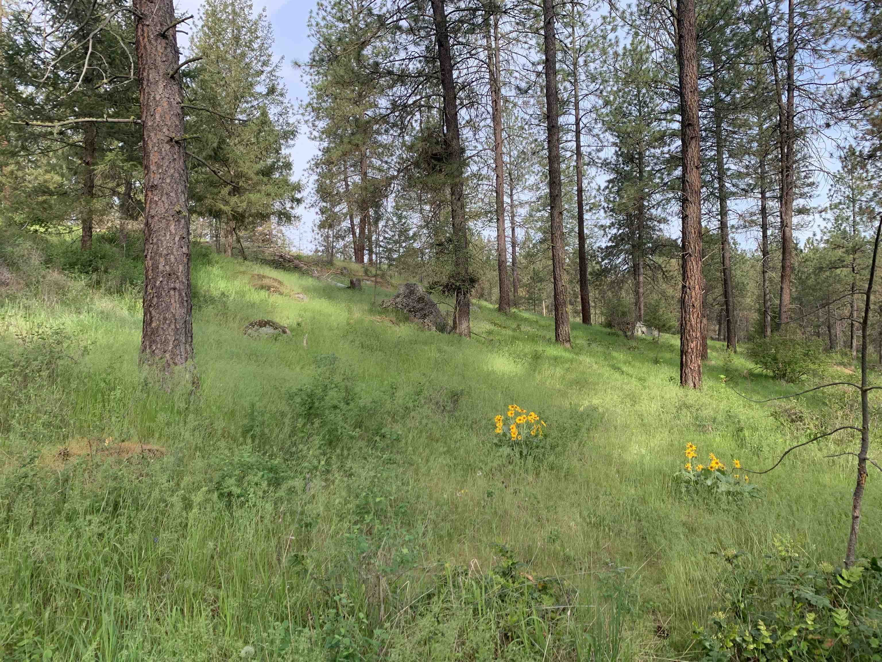 160xx N Austin Rd - Photo 27