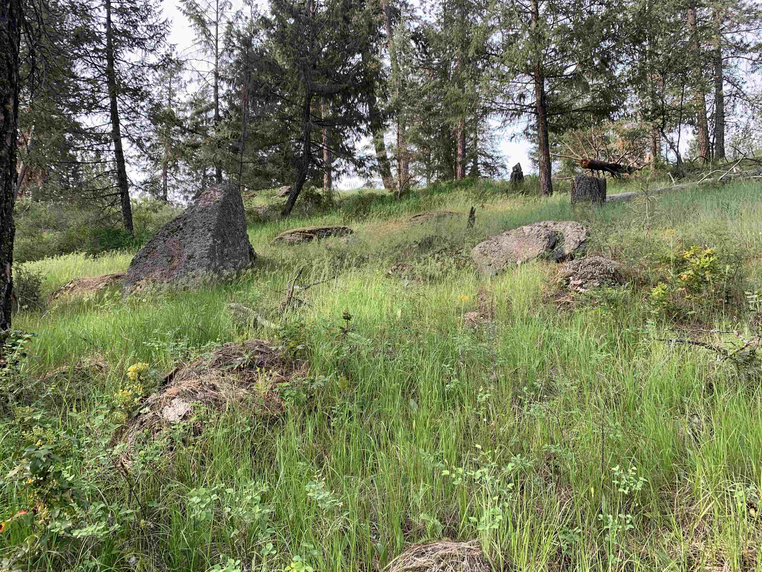 160xx N Austin Rd - Photo 28