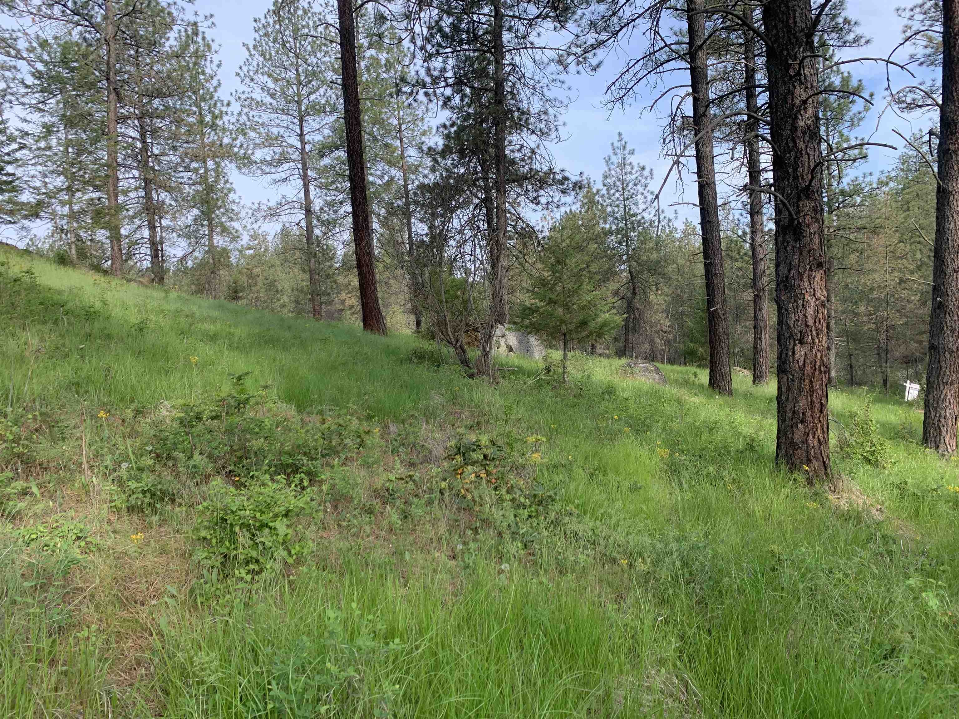 160xx N Austin Rd - Photo 29
