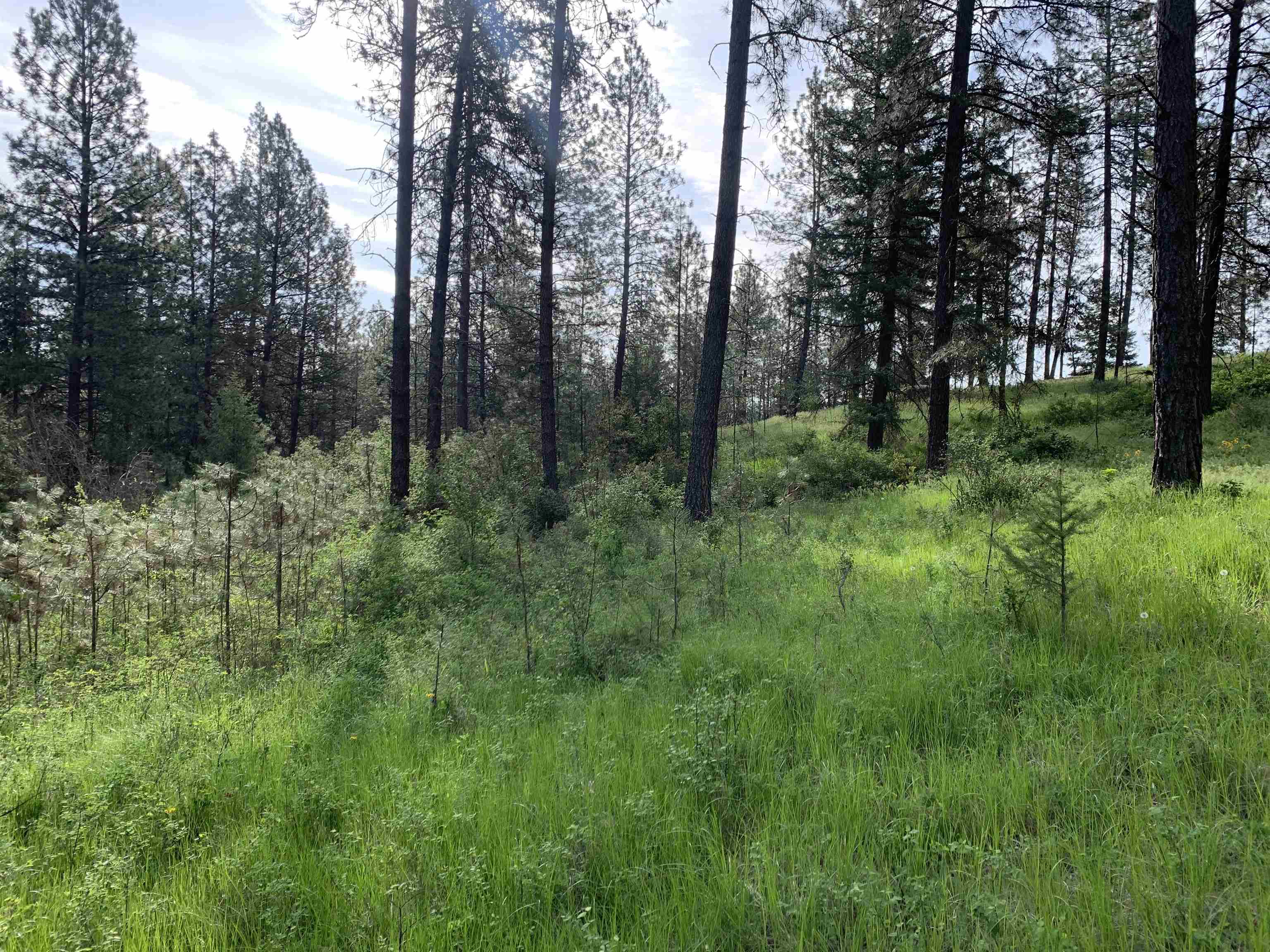 160xx N Austin Rd - Photo 7