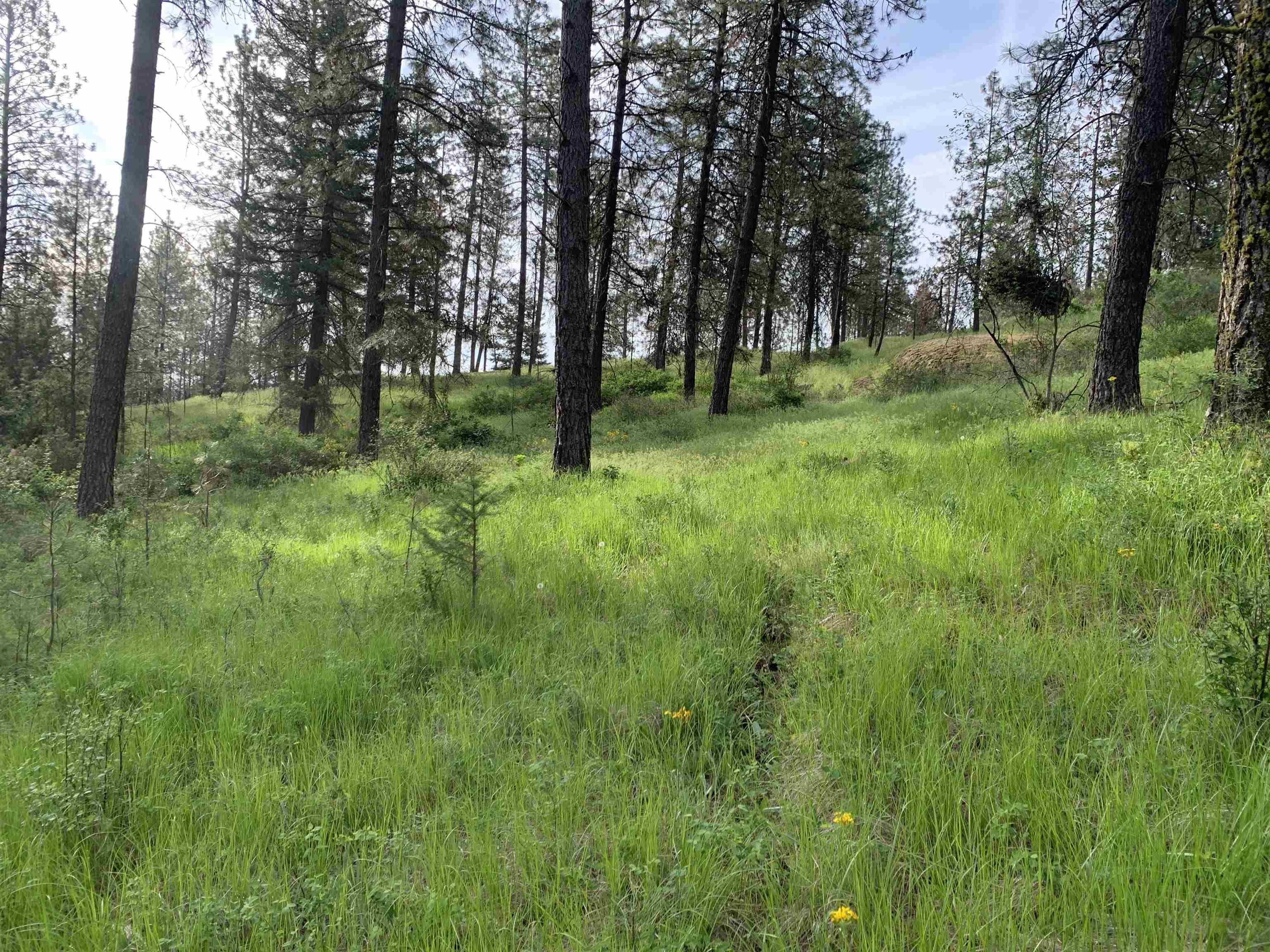160xx N Austin Rd - Photo 8