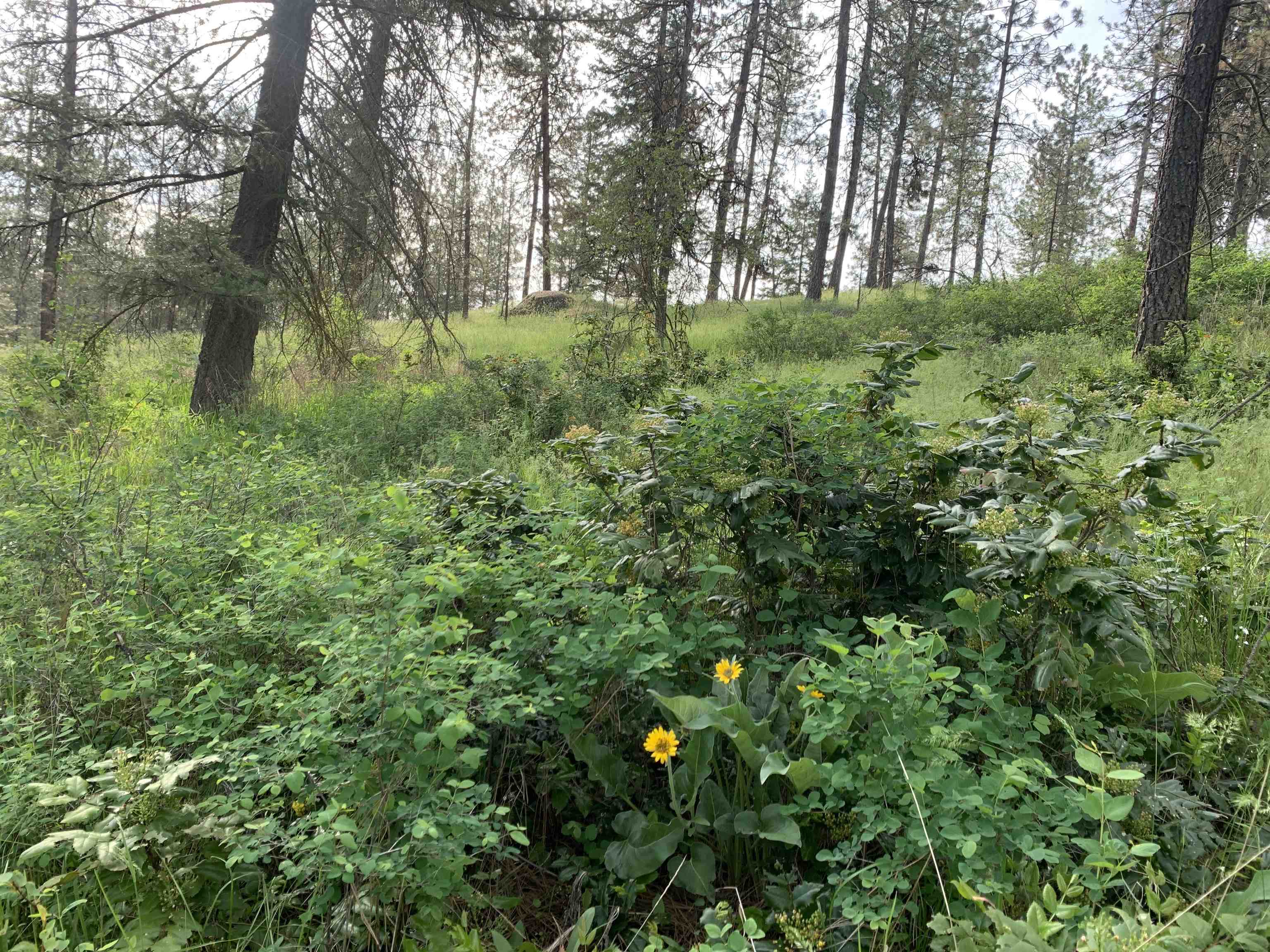 160xx N Austin Rd - Photo 10