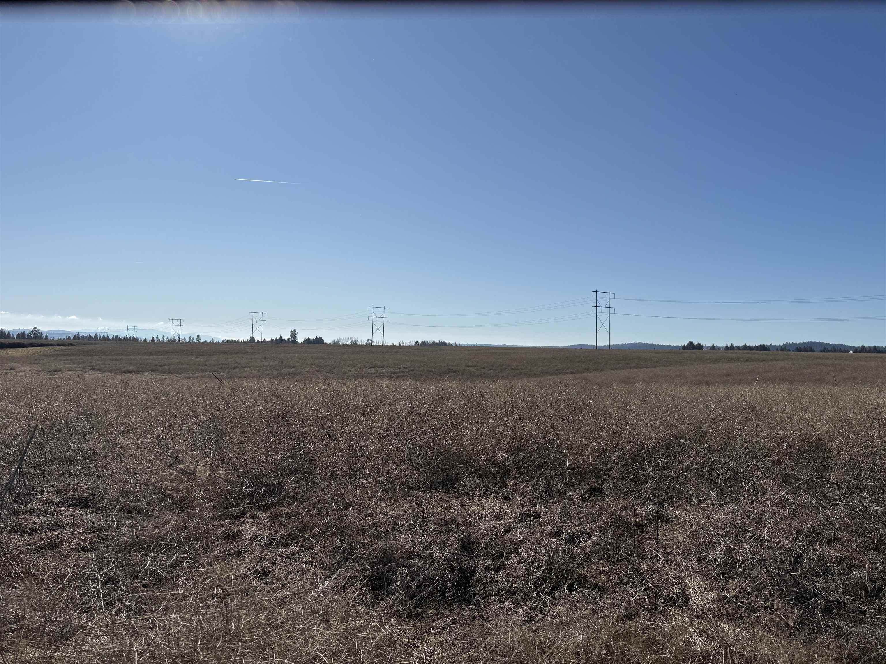 21XXX N Division Ln - Photo 7