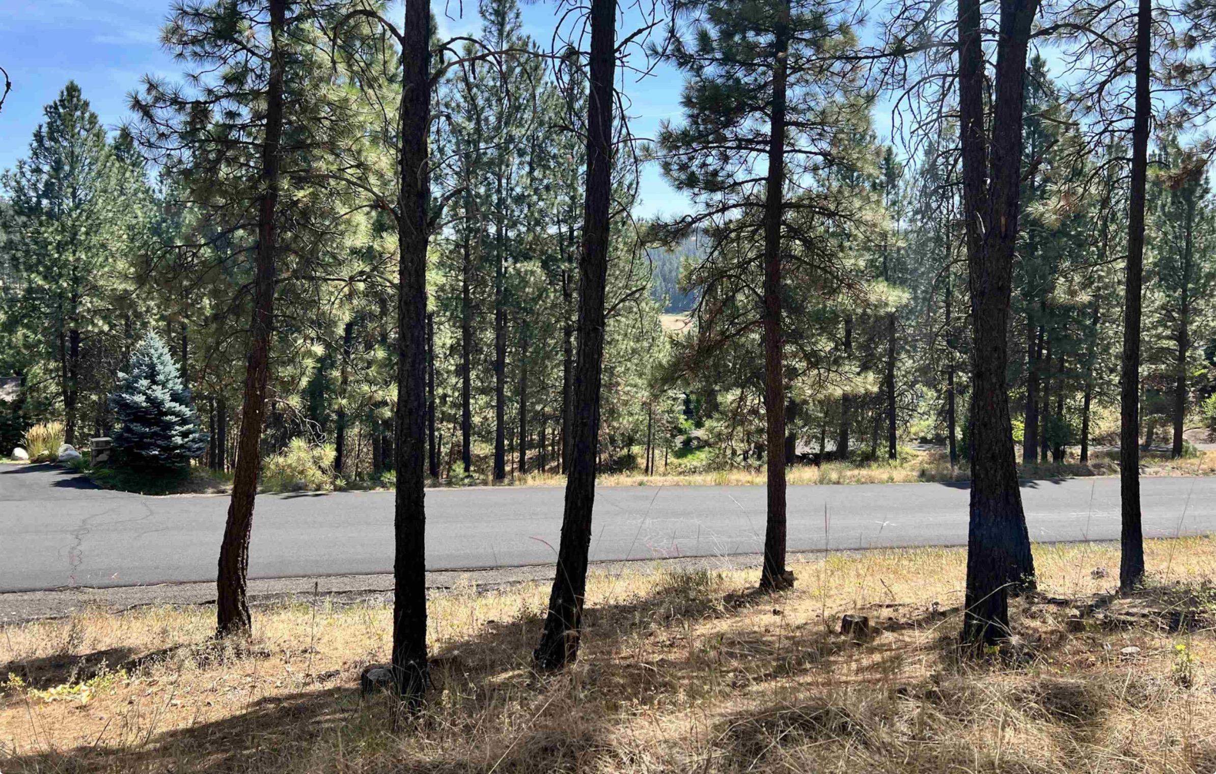 13110 S Fairway Ridge Ln - Photo 11