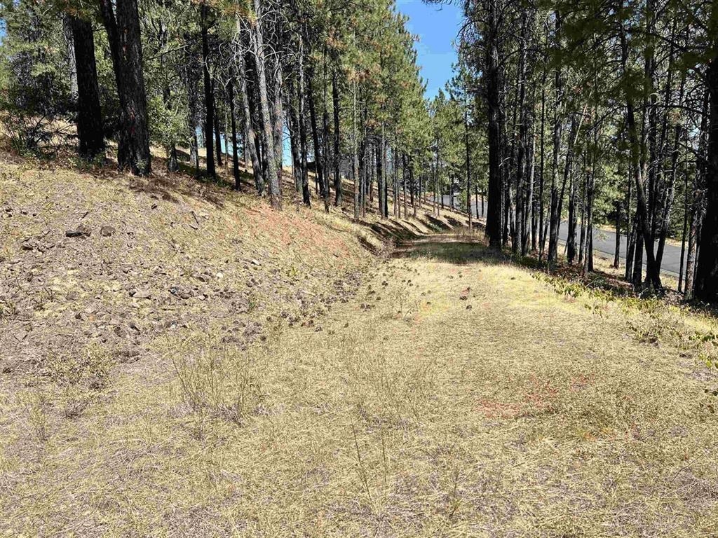 13110 S Fairway Ridge Ln - Photo 4