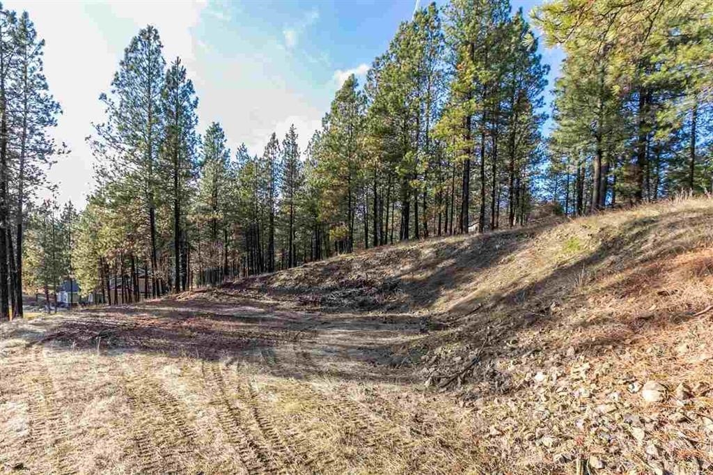 13110 S Fairway Ridge Ln - Photo 5