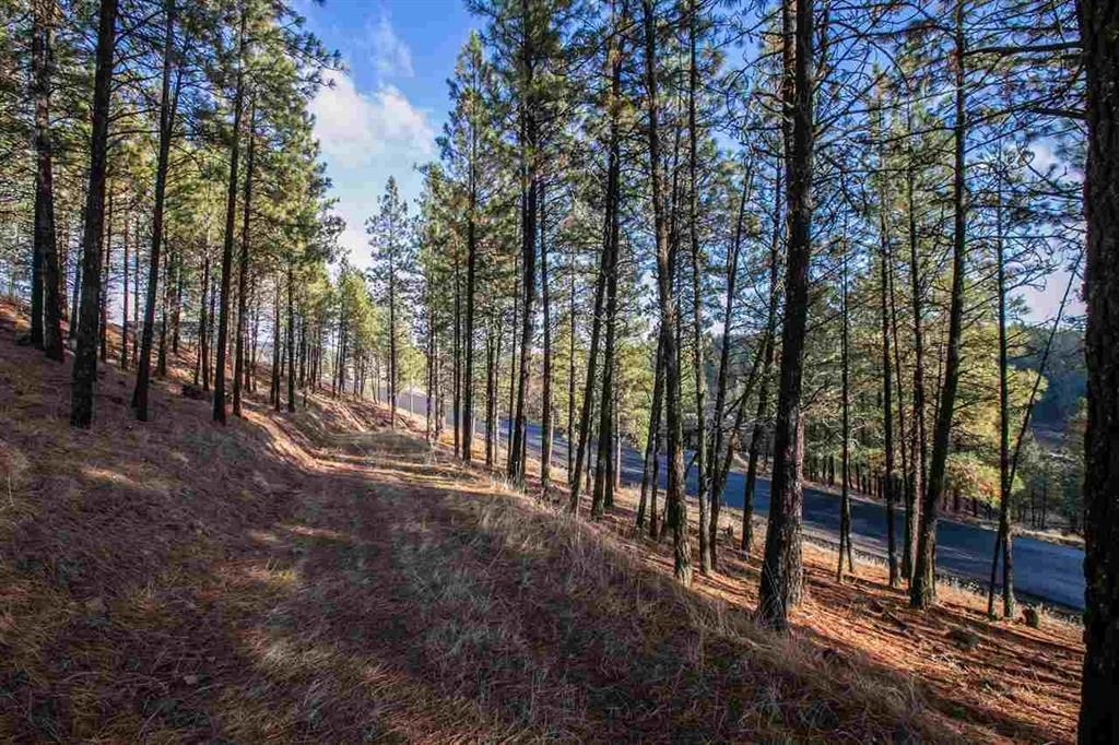13110 S Fairway Ridge Ln - Photo 6
