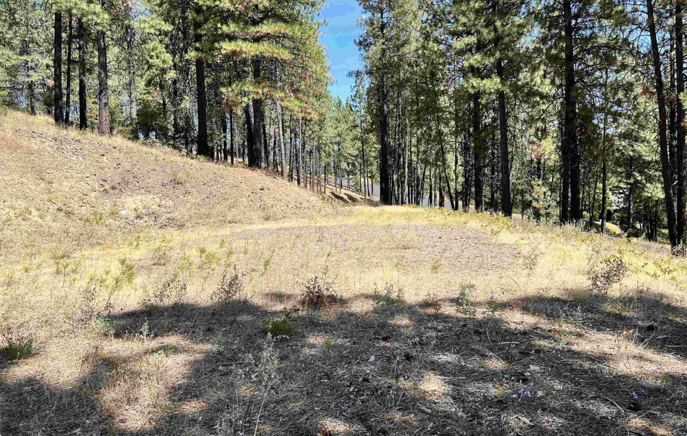 13110 S Fairway Ridge Ln - Photo 8