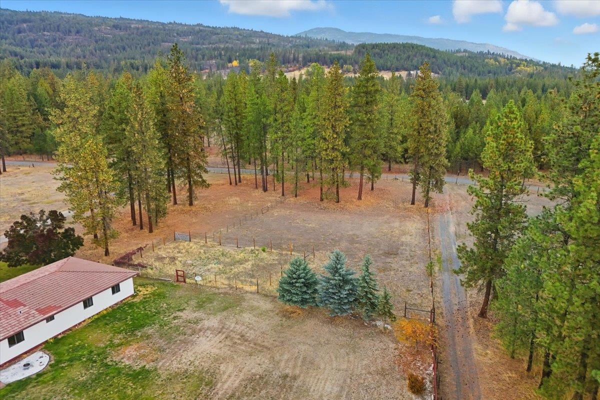 28 Enzyme Ln - Photo 48