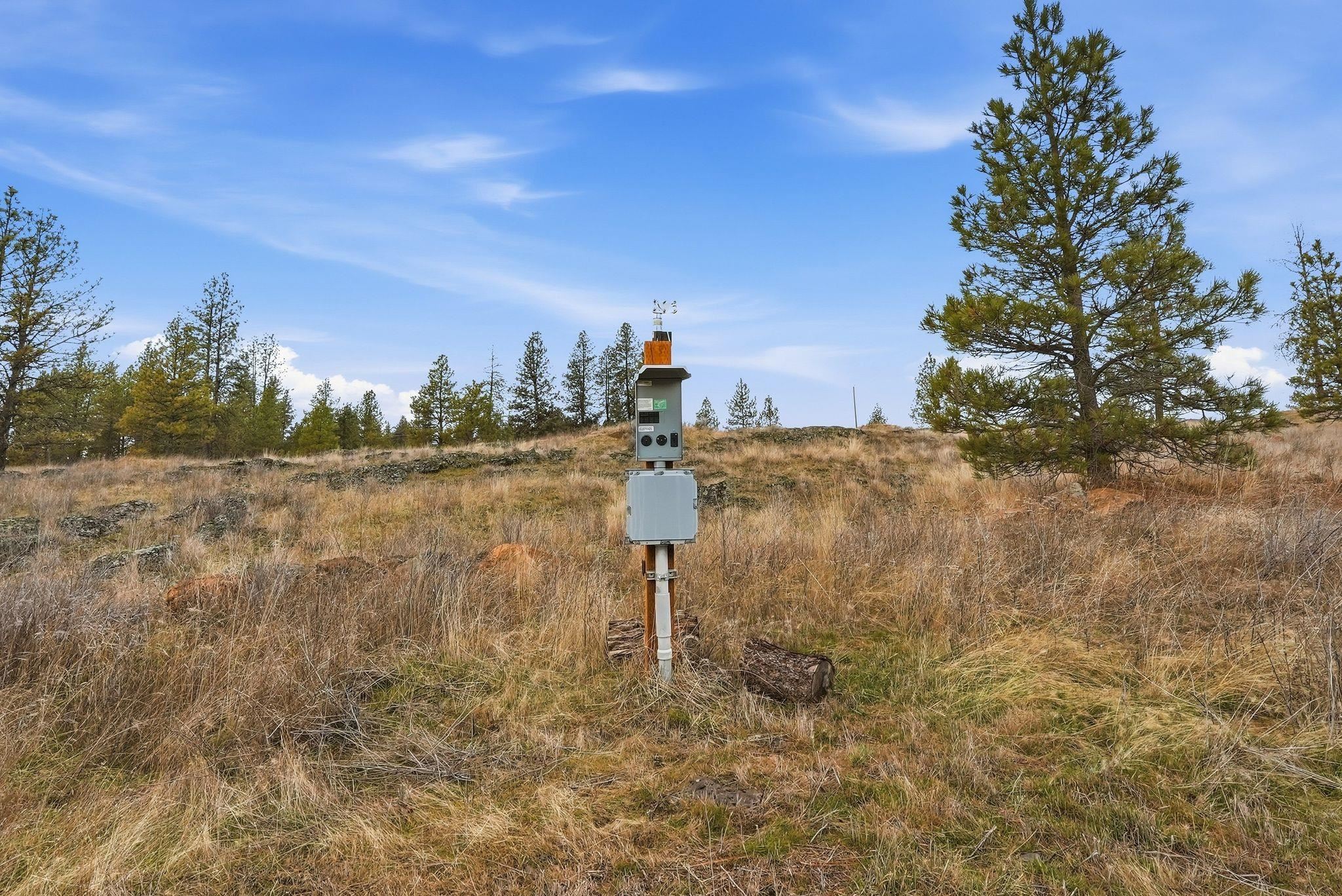 20307 W Sterling Rd - Photo 11