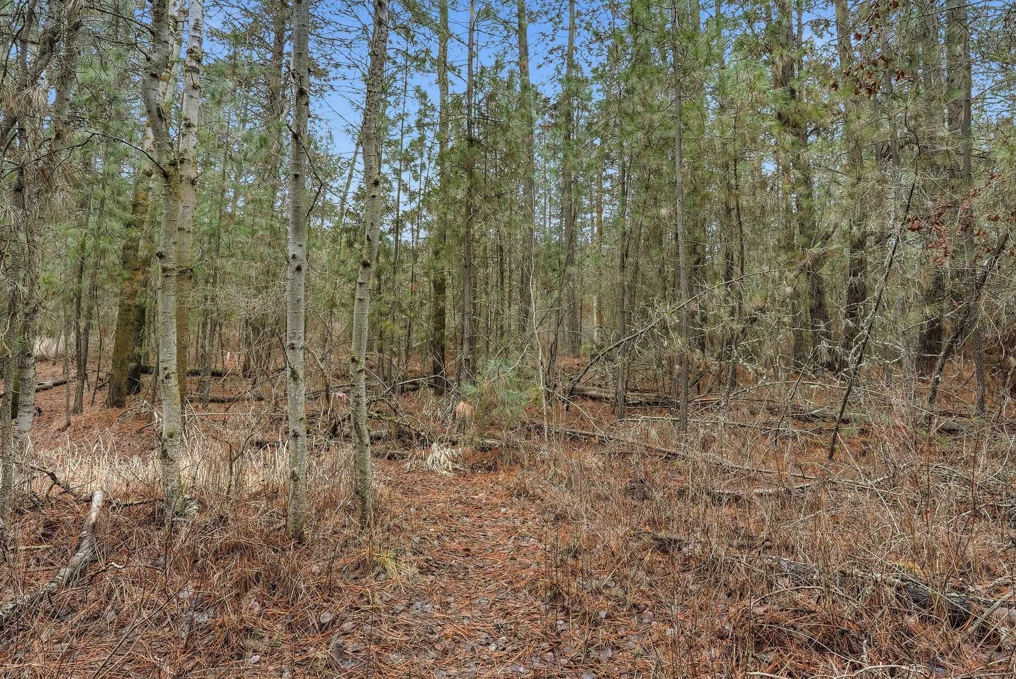 20307 W Sterling Rd - Photo 12