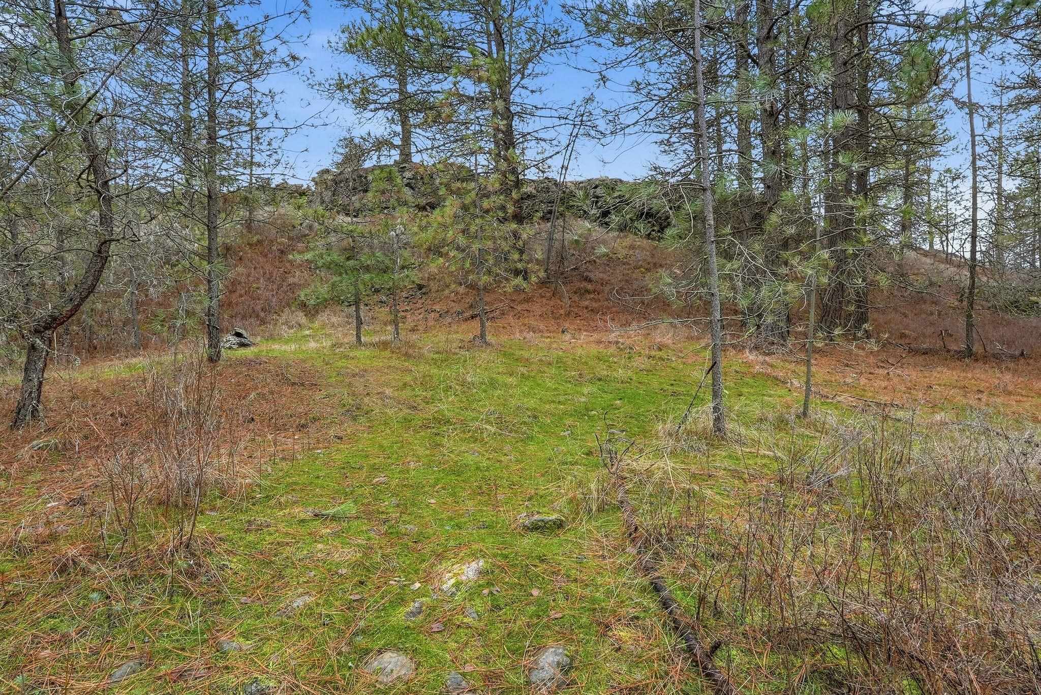 20307 W Sterling Rd - Photo 13