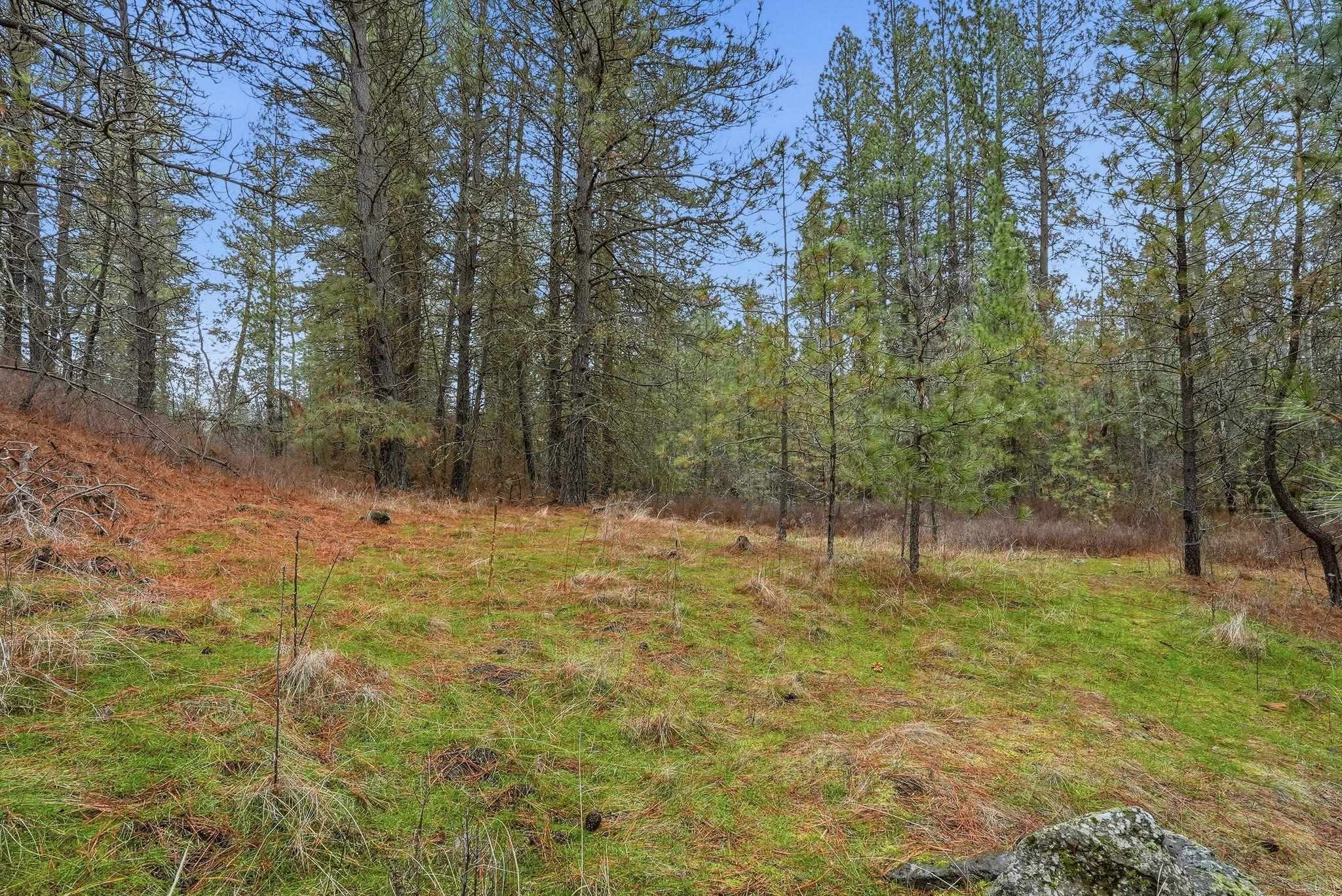 20307 W Sterling Rd - Photo 14