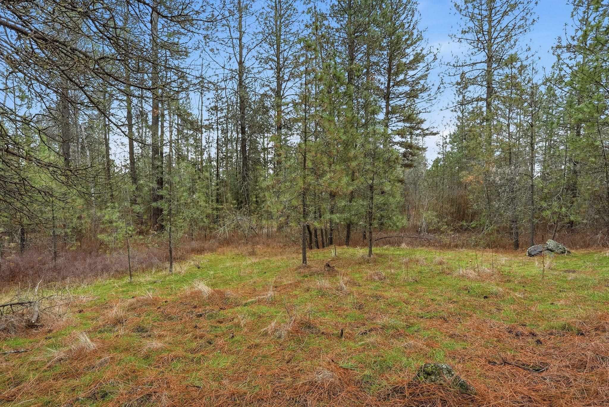 20307 W Sterling Rd - Photo 15