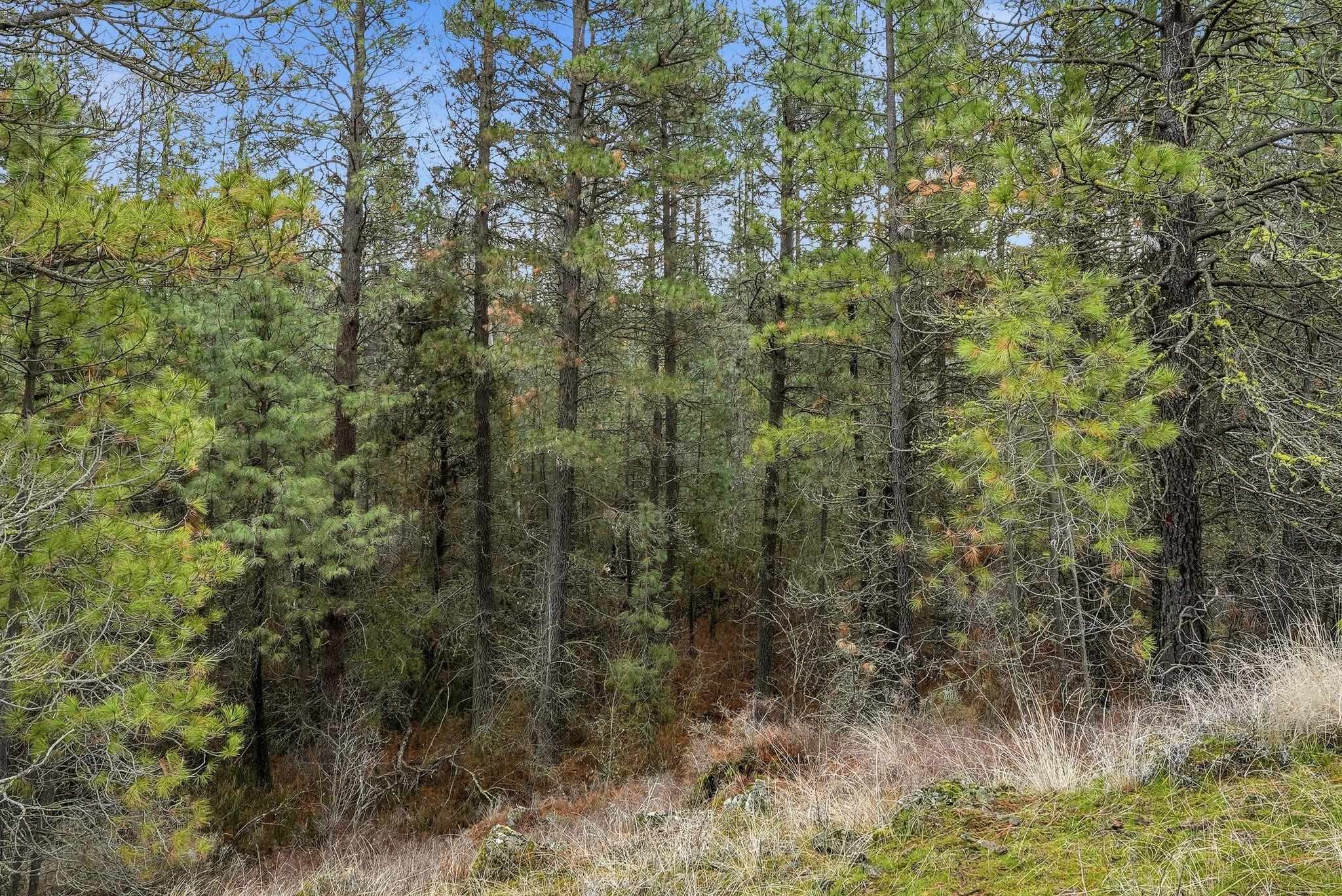 20307 W Sterling Rd - Photo 16