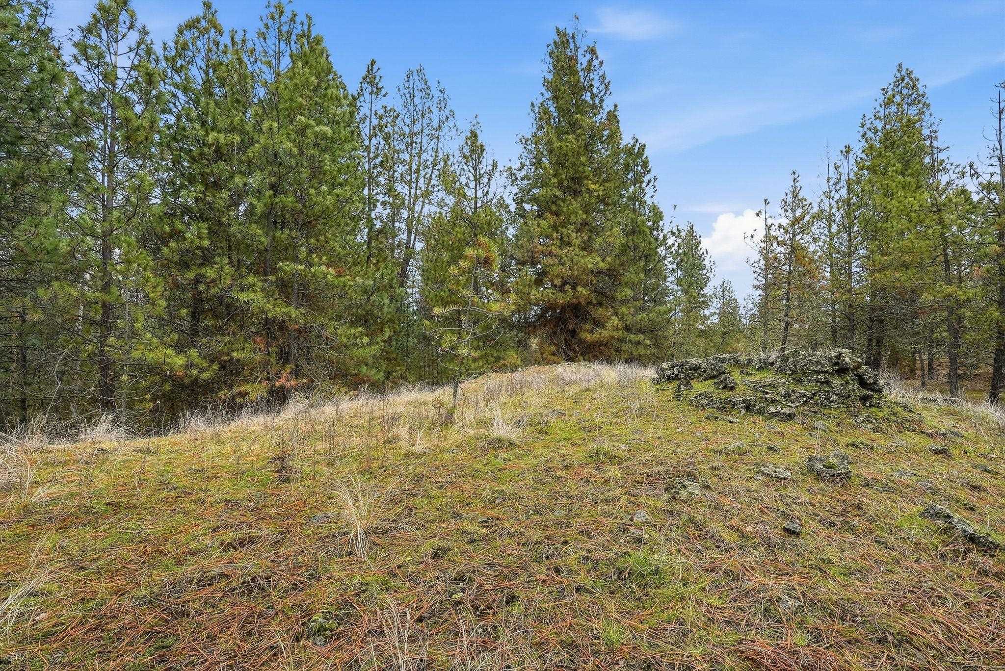 20307 W Sterling Rd - Photo 26