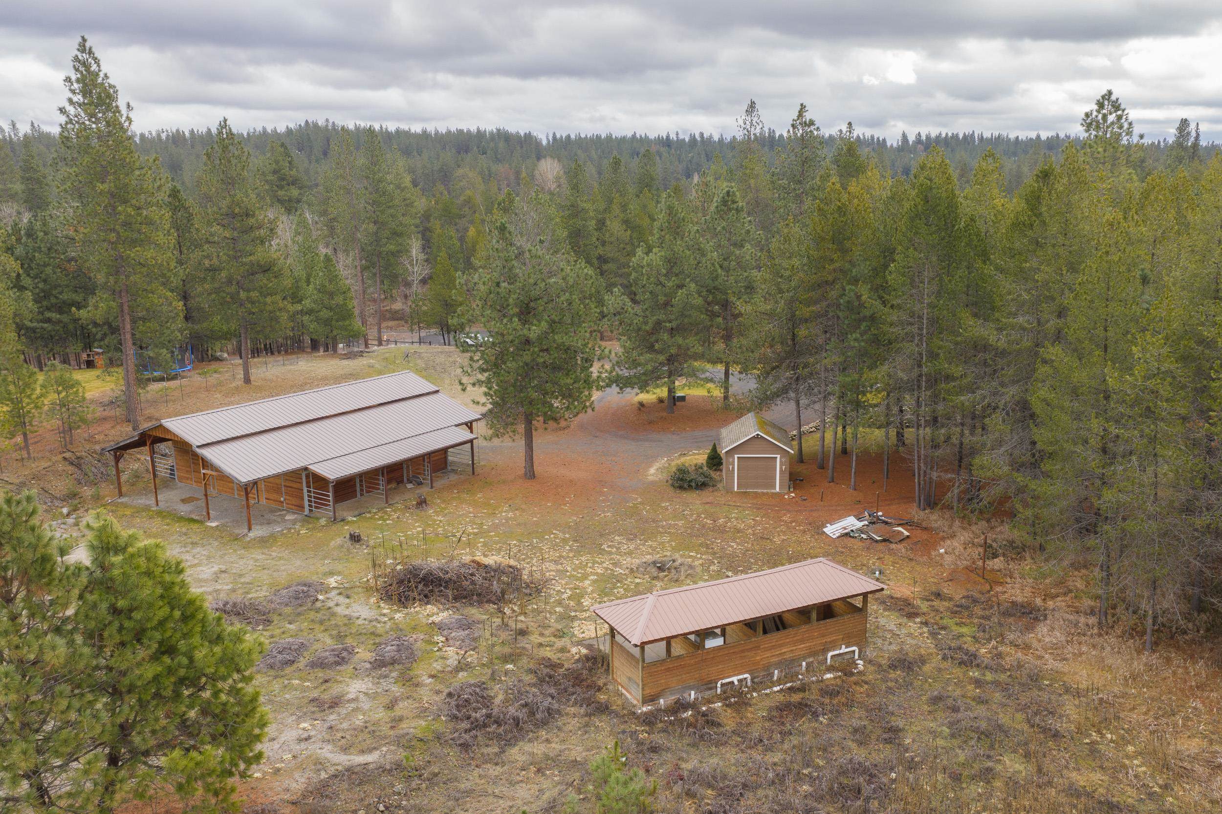 21615 N Green Pine Ln - Photo 9