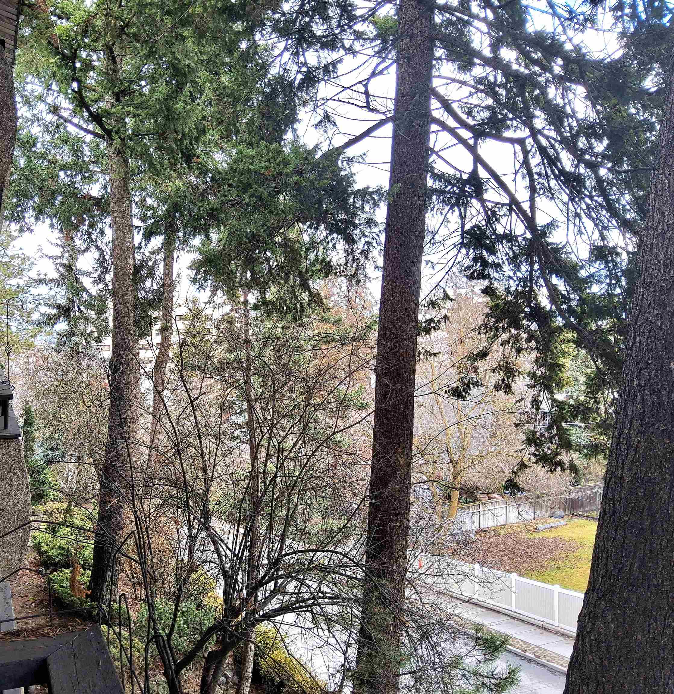 1002 W 7TH  Ave #201 Ave - Photo 25