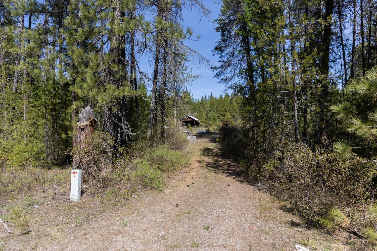 271 Deer Valley Ln - Photo 2