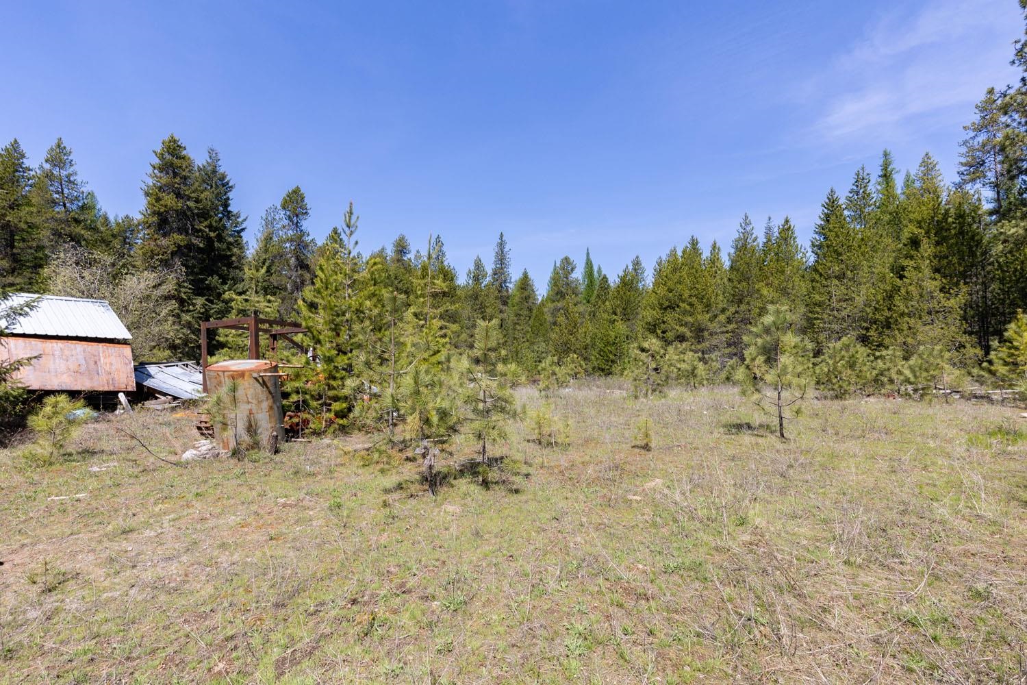 271 Deer Valley Ln - Photo 11