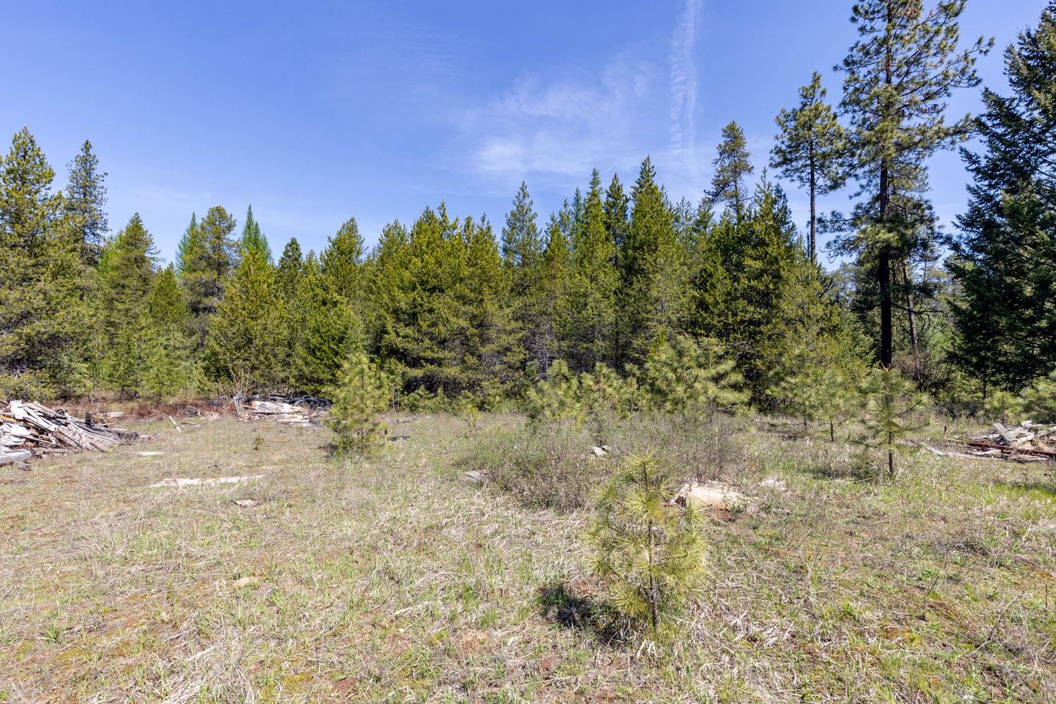 271 Deer Valley Ln - Photo 12