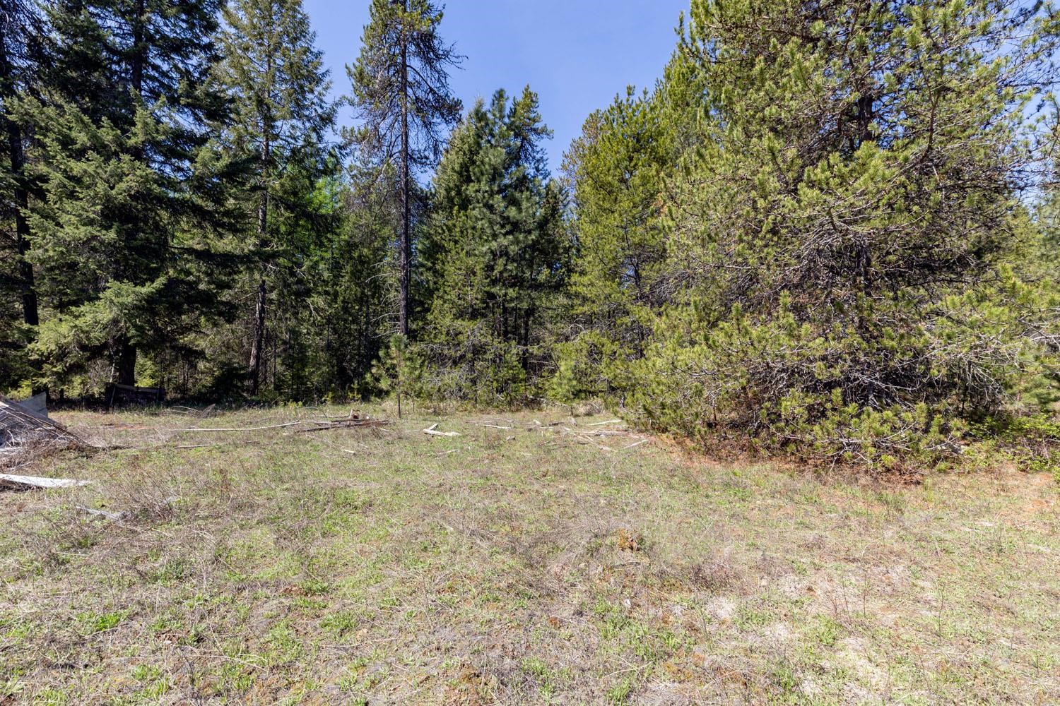 271 Deer Valley Ln - Photo 13