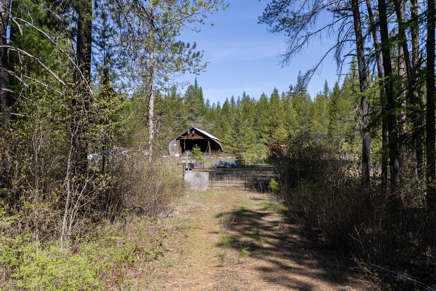 271 Deer Valley Ln - Photo 4