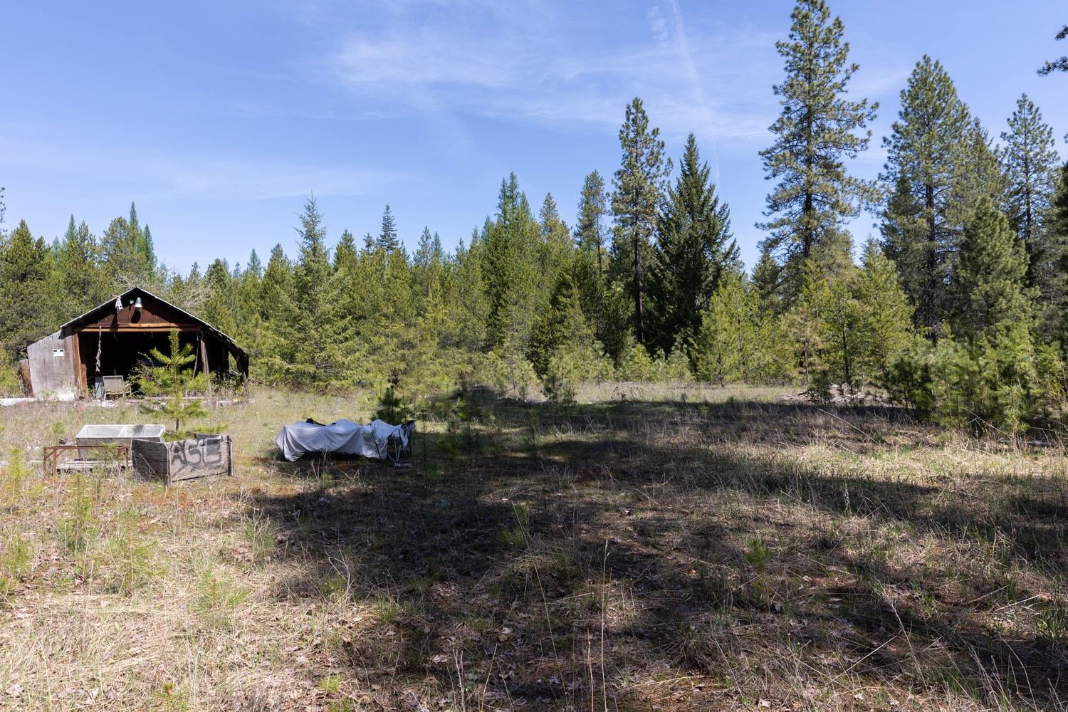 271 Deer Valley Ln - Photo 5
