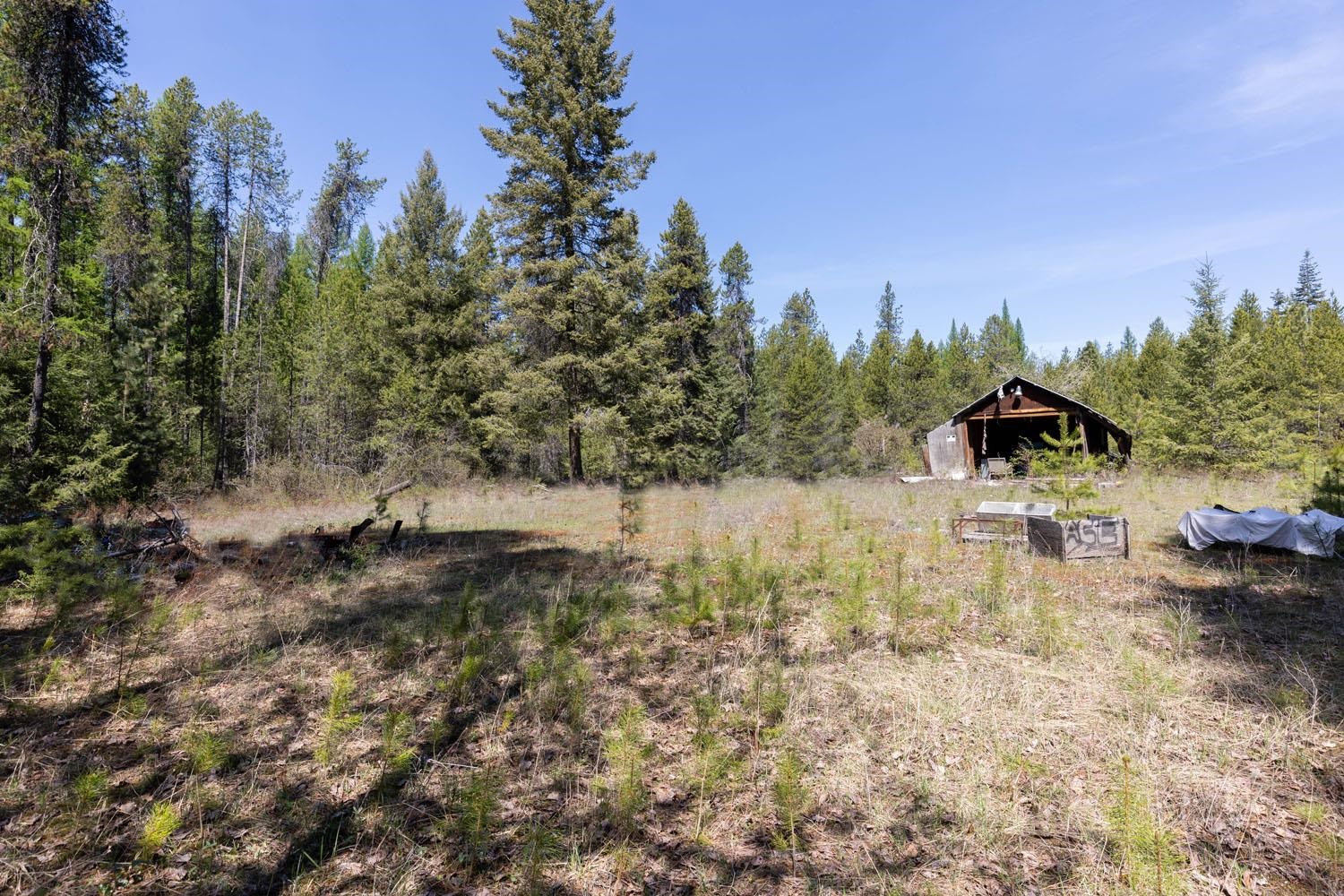 271 Deer Valley Ln - Photo 6